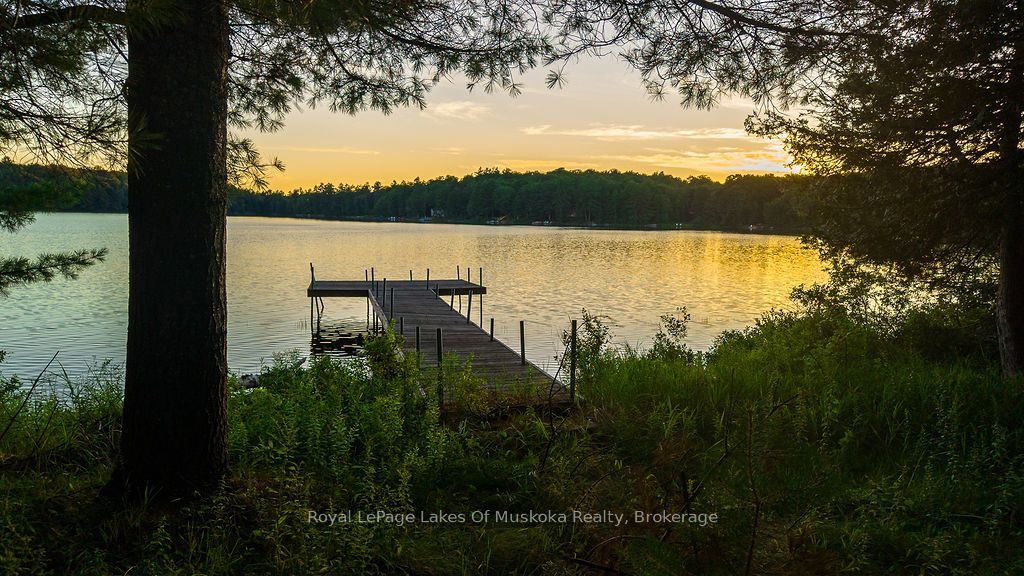 3712 Brunel Road, Lake of Bays, ON P0B 1A0 photo 5