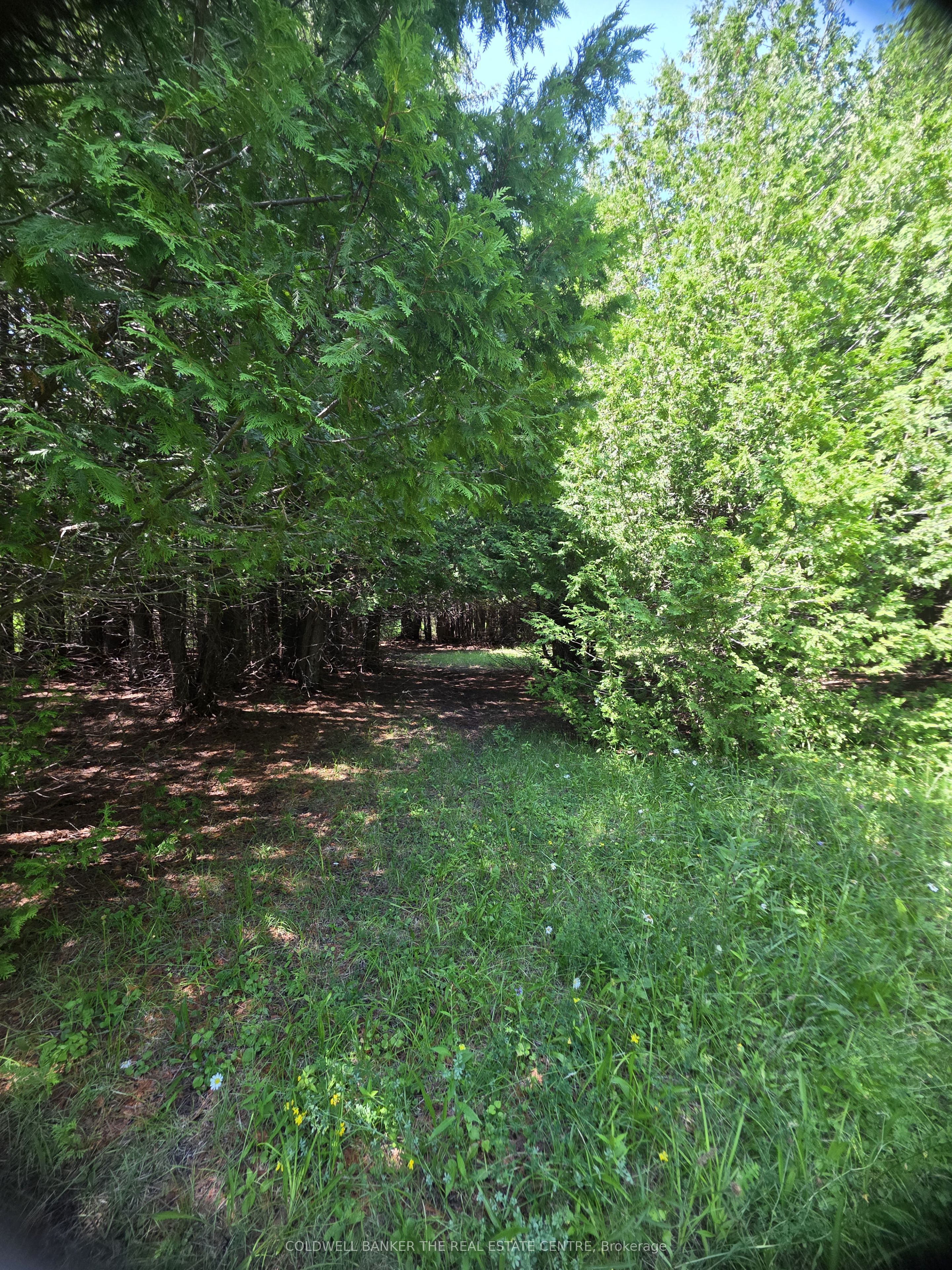 N/A Government Road W, Tehkummah, ON P0P 2C0