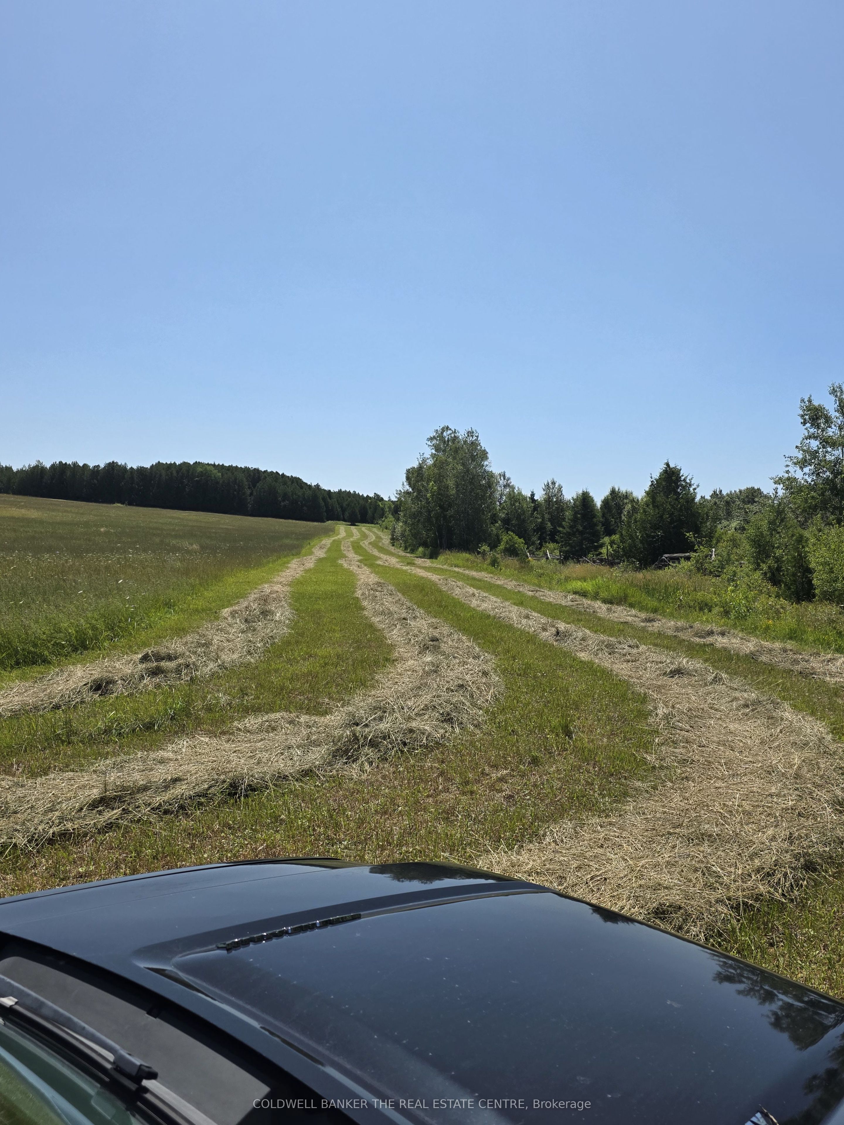 N/A Government Road W, Tehkummah, ON P0P 2C0 photo 2