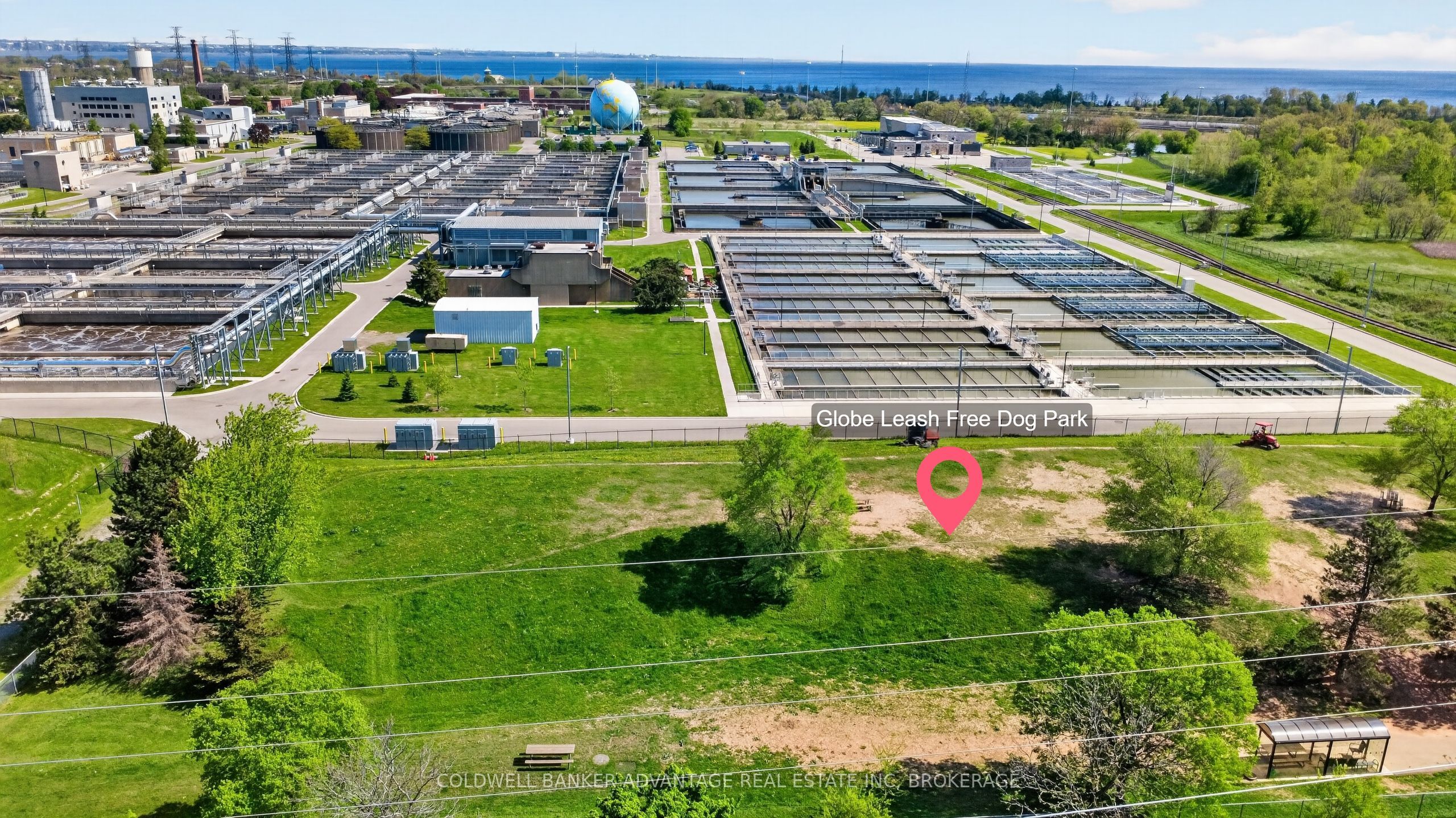 614 Waterloo Street, Hamilton, ON L8H 6V5 photo 5
