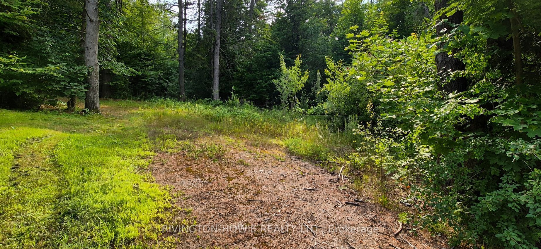 5045 Opeongo Road, Constance Bay - Dunrobin - Kilmaurs - Woodlawn, ON K0A 3M0 photo 5