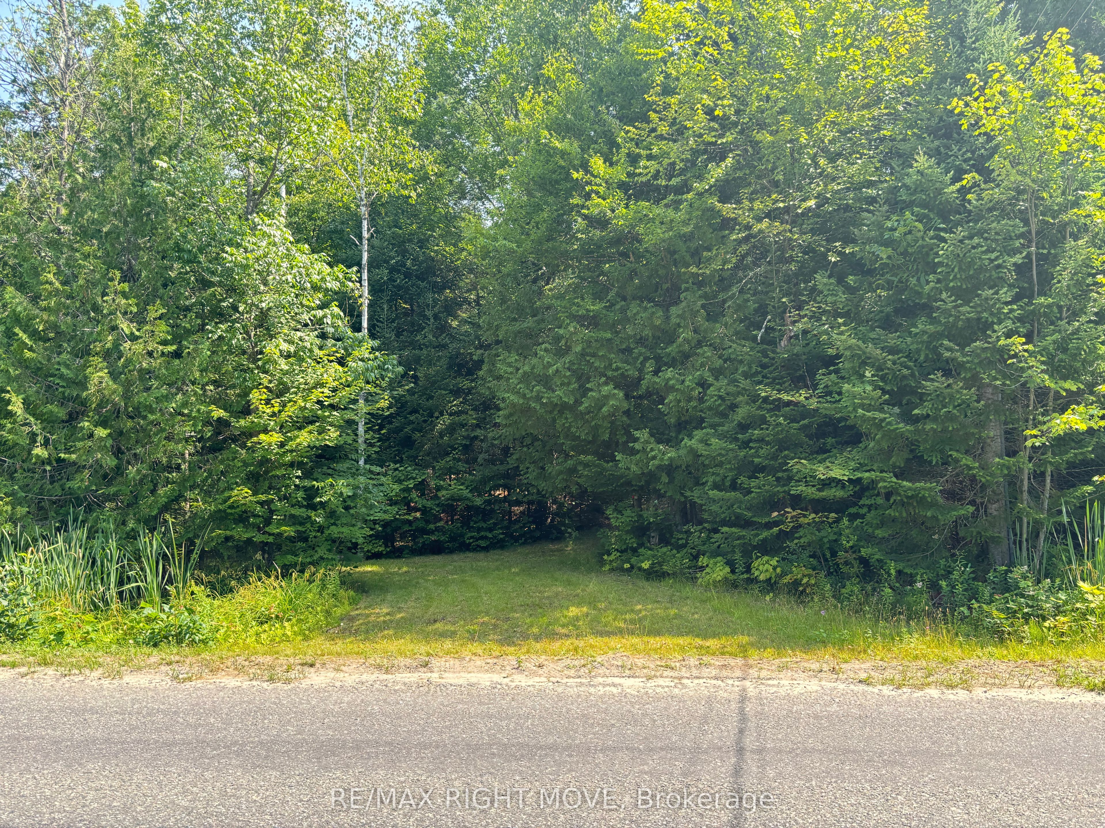 50 Sunrise Drive, Kearney, ON P0A 1M0 photo 2