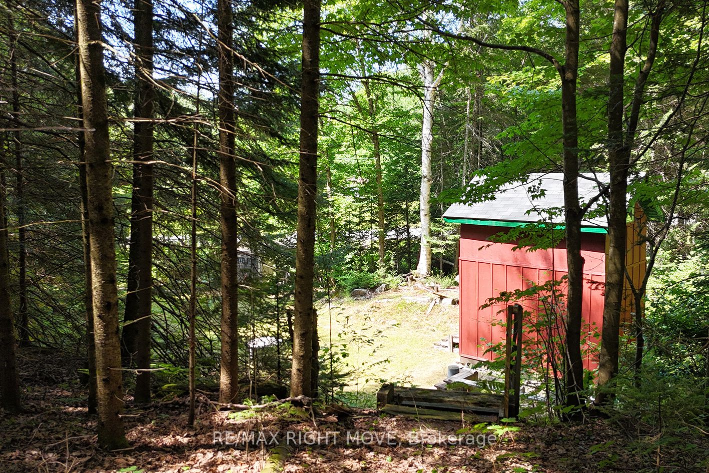 50 Sunrise Drive, Kearney, ON P0A 1M0 photo 5