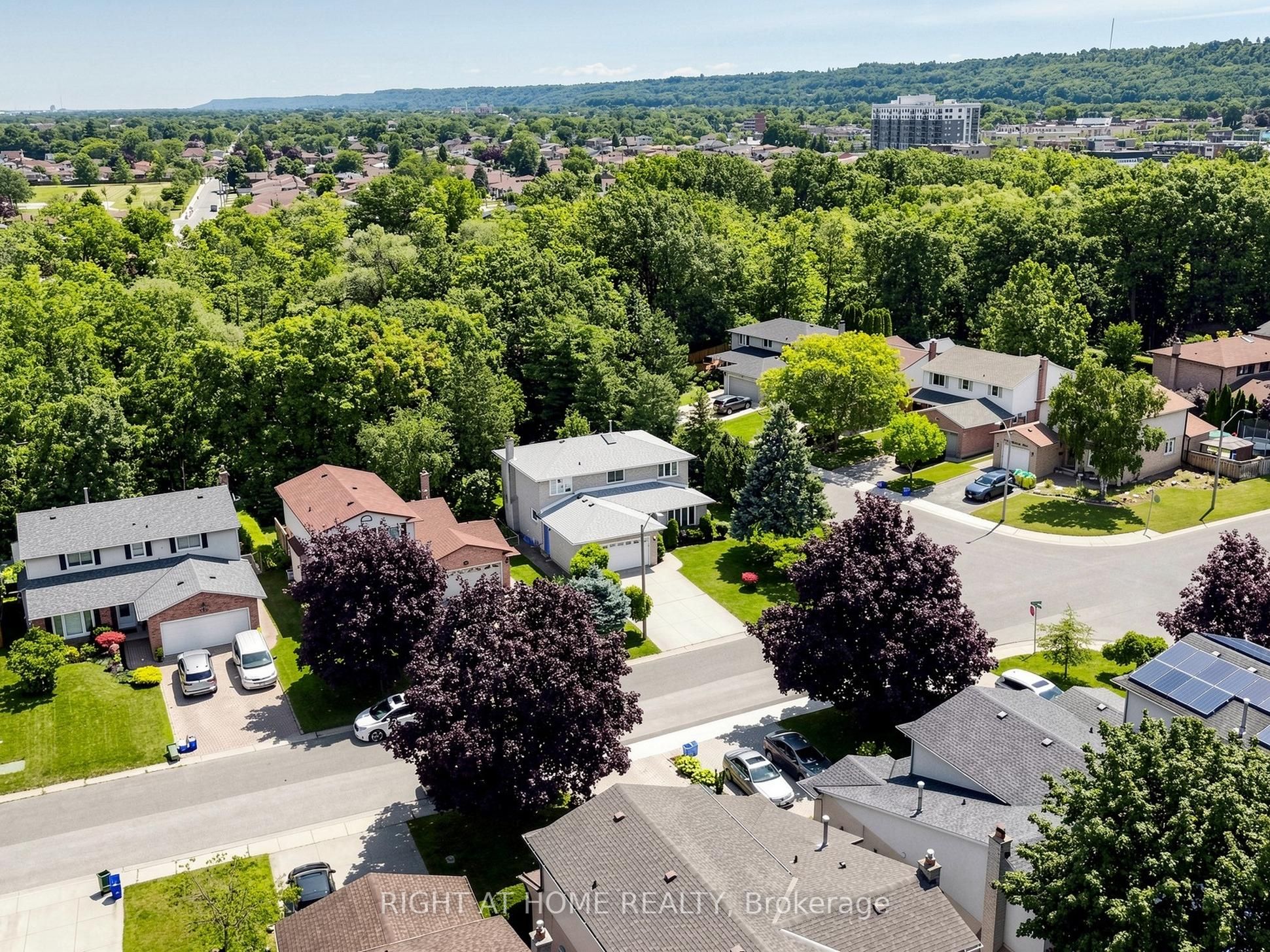 138 Strawberry Drive, Hamilton, ON L8E 4R7 photo 4