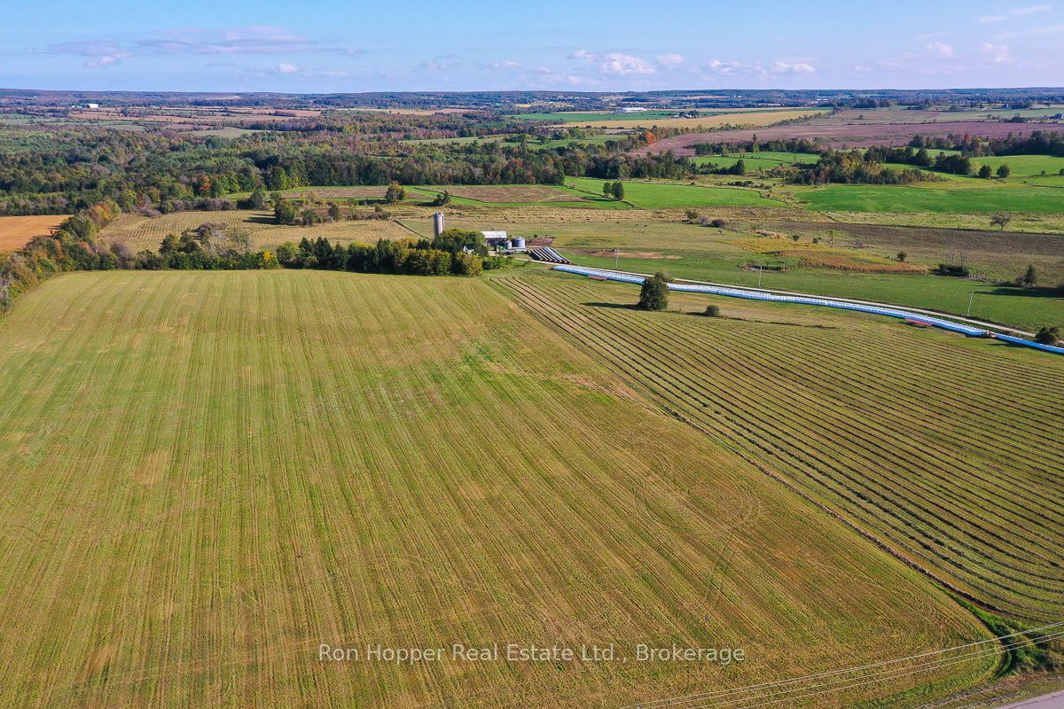 439567 Sydenham-Lakeshore Drive, Meaford, ON N0H 1B0 photo 4