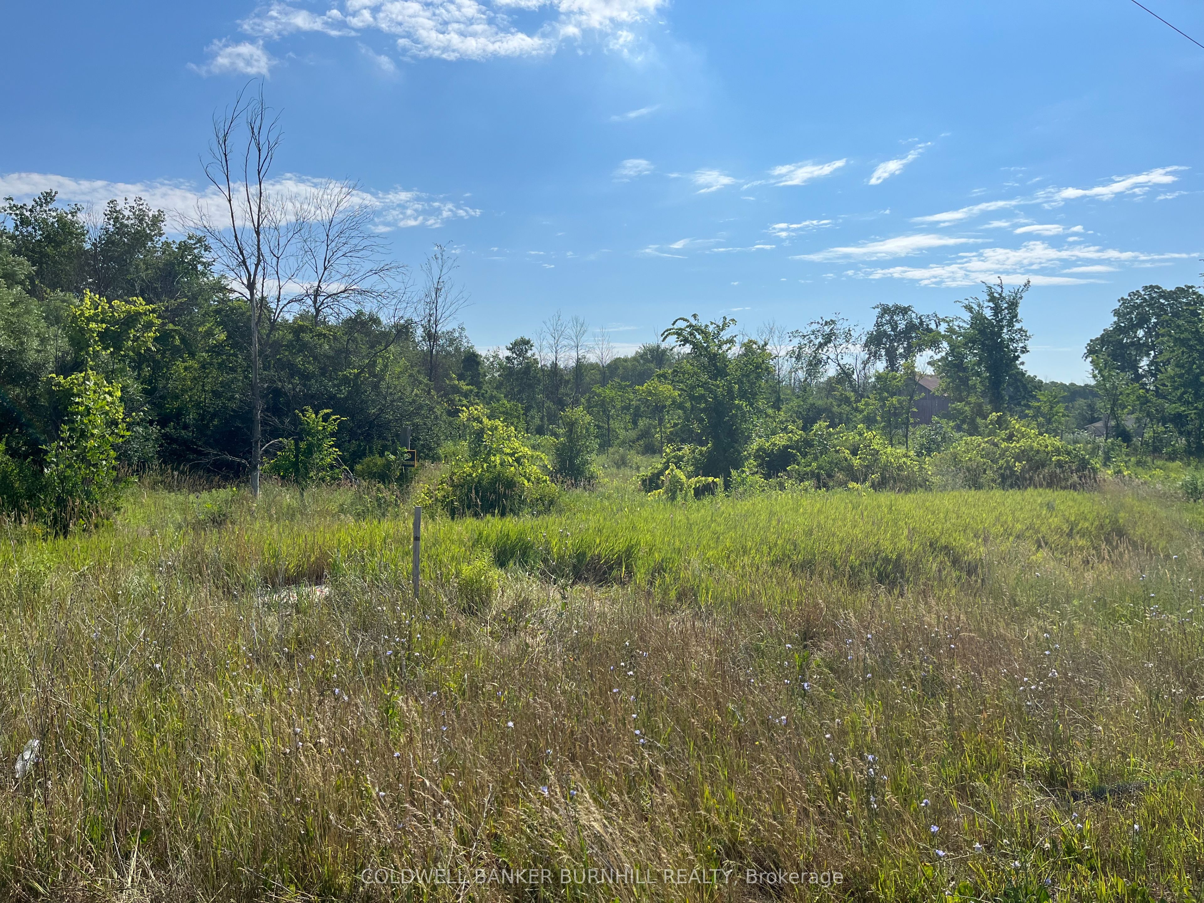1276 Hwy 6, Hamilton, ON L0R 1V0 photo 3
