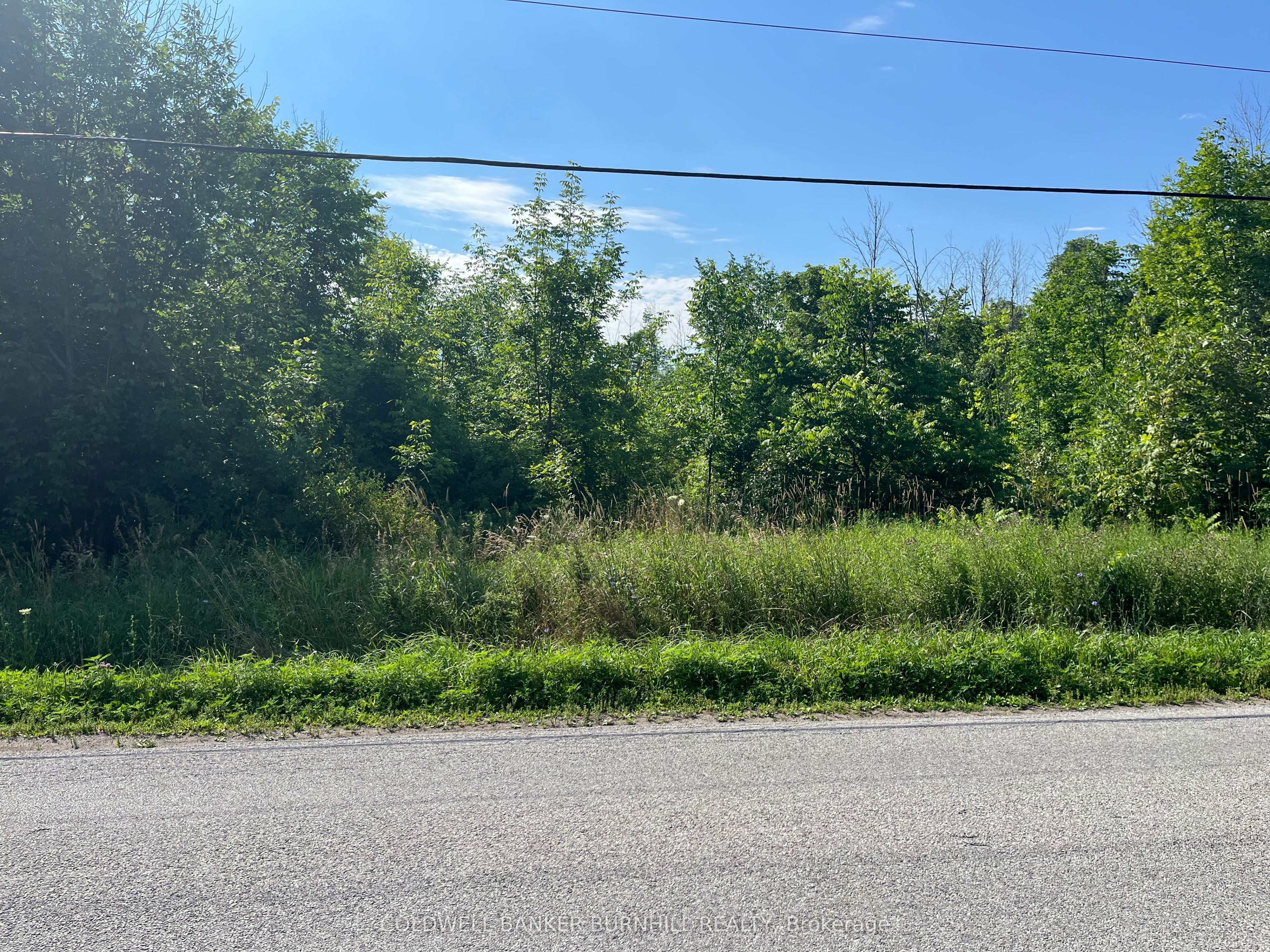 1276 Hwy 6, Hamilton, ON L0R 1V0 photo 5