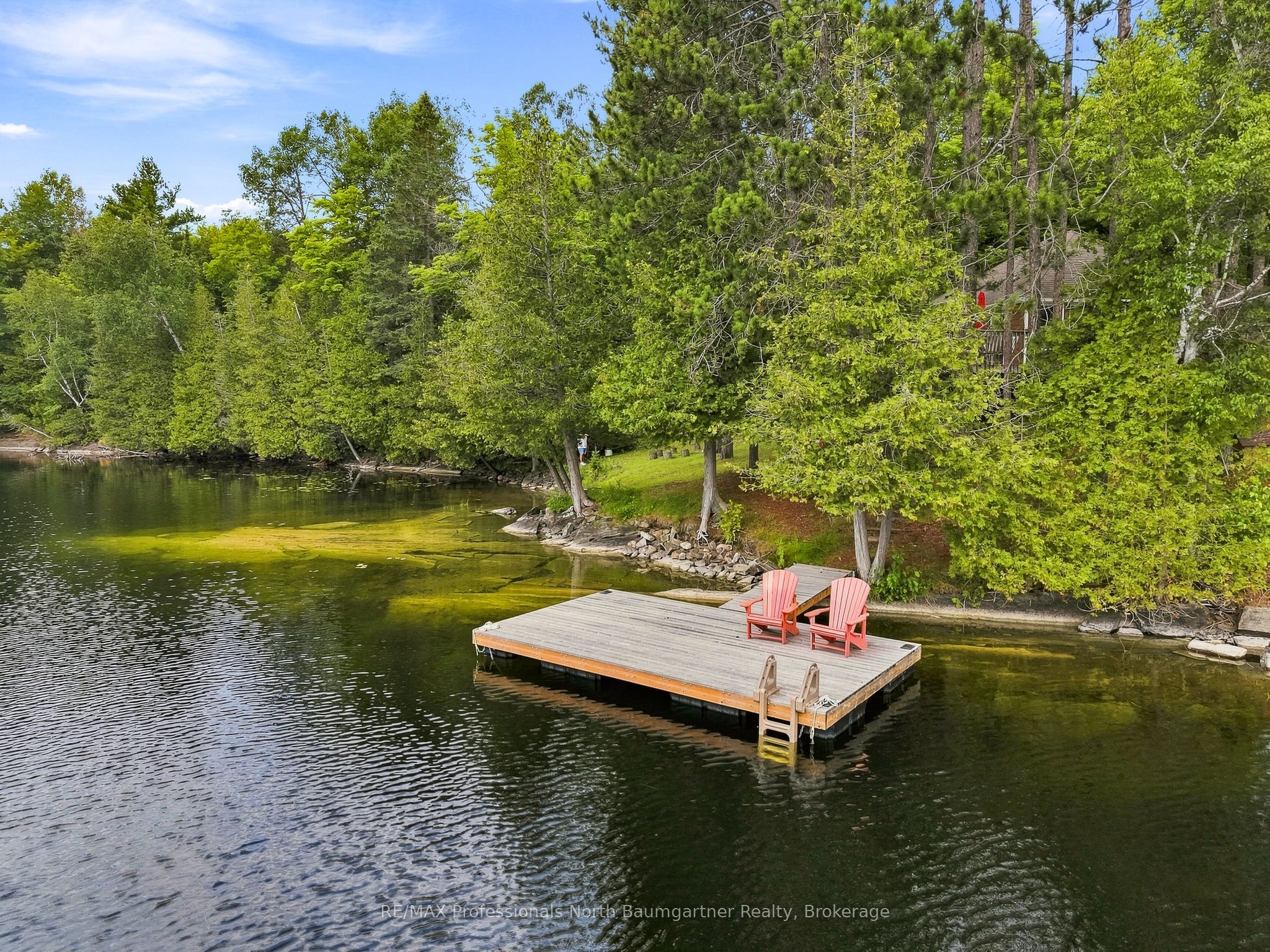 45 Scott Settlement Road, North Kawartha, ON K0L 1A0 photo 3