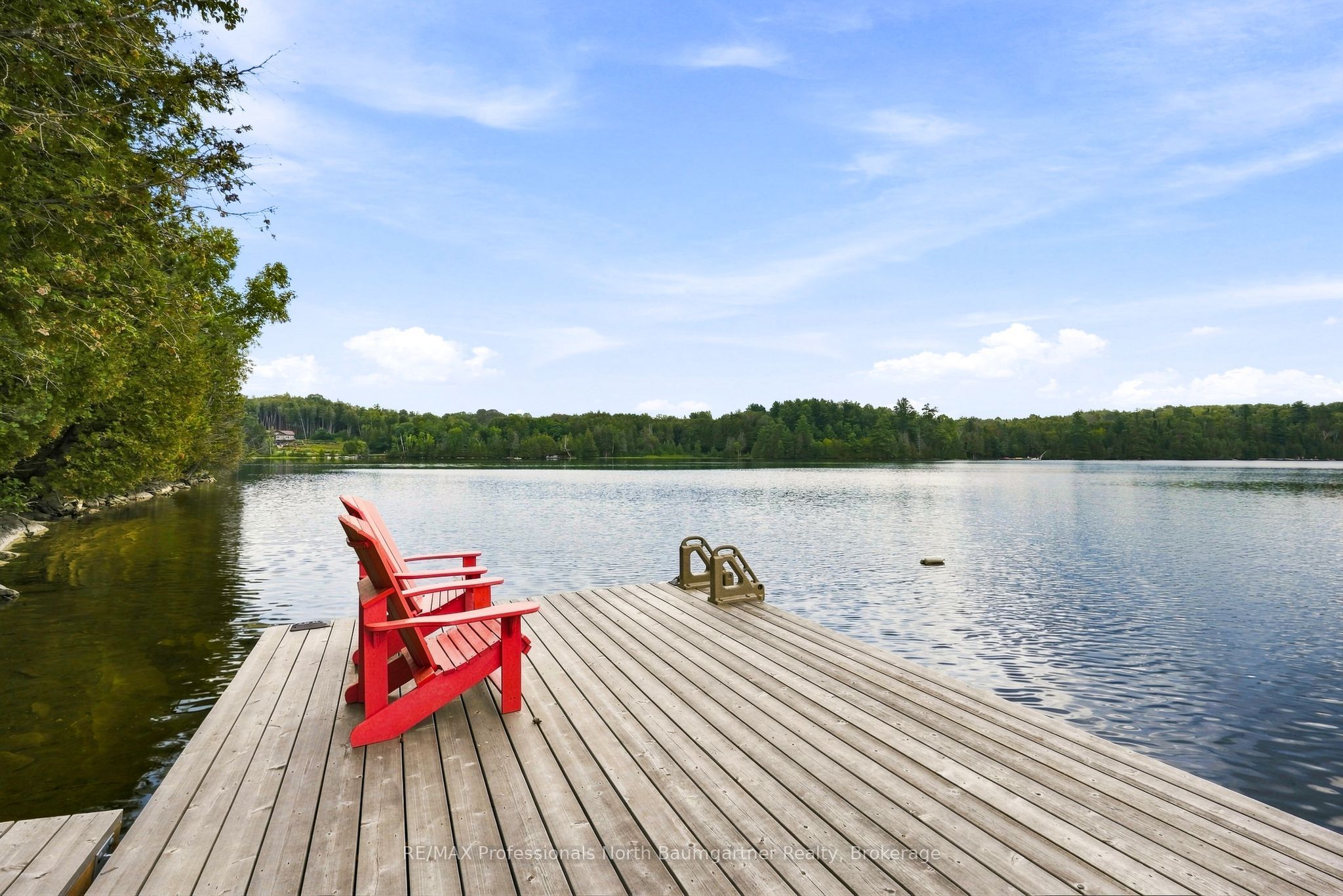 45 Scott Settlement Road, North Kawartha, ON K0L 1A0 photo 4