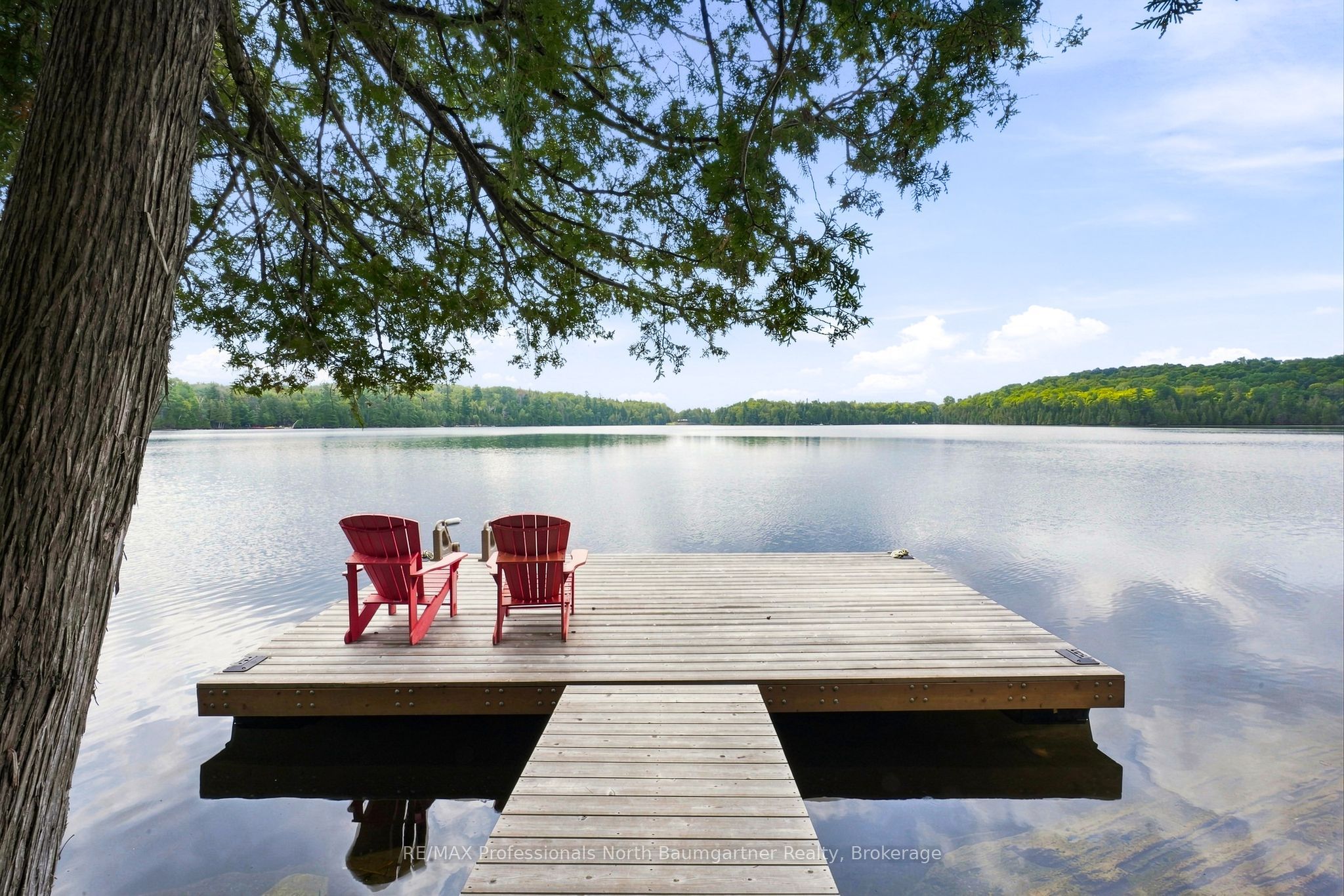 45 Scott Settlement Road, North Kawartha, ON K0L 1A0 photo 5