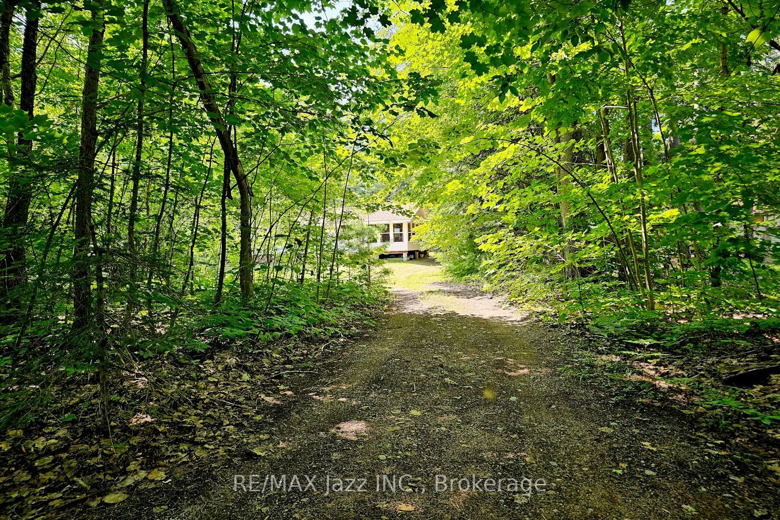 2006 South Beaver Lake Lane, Minden Hills, ON K0M 2L1 photo 4
