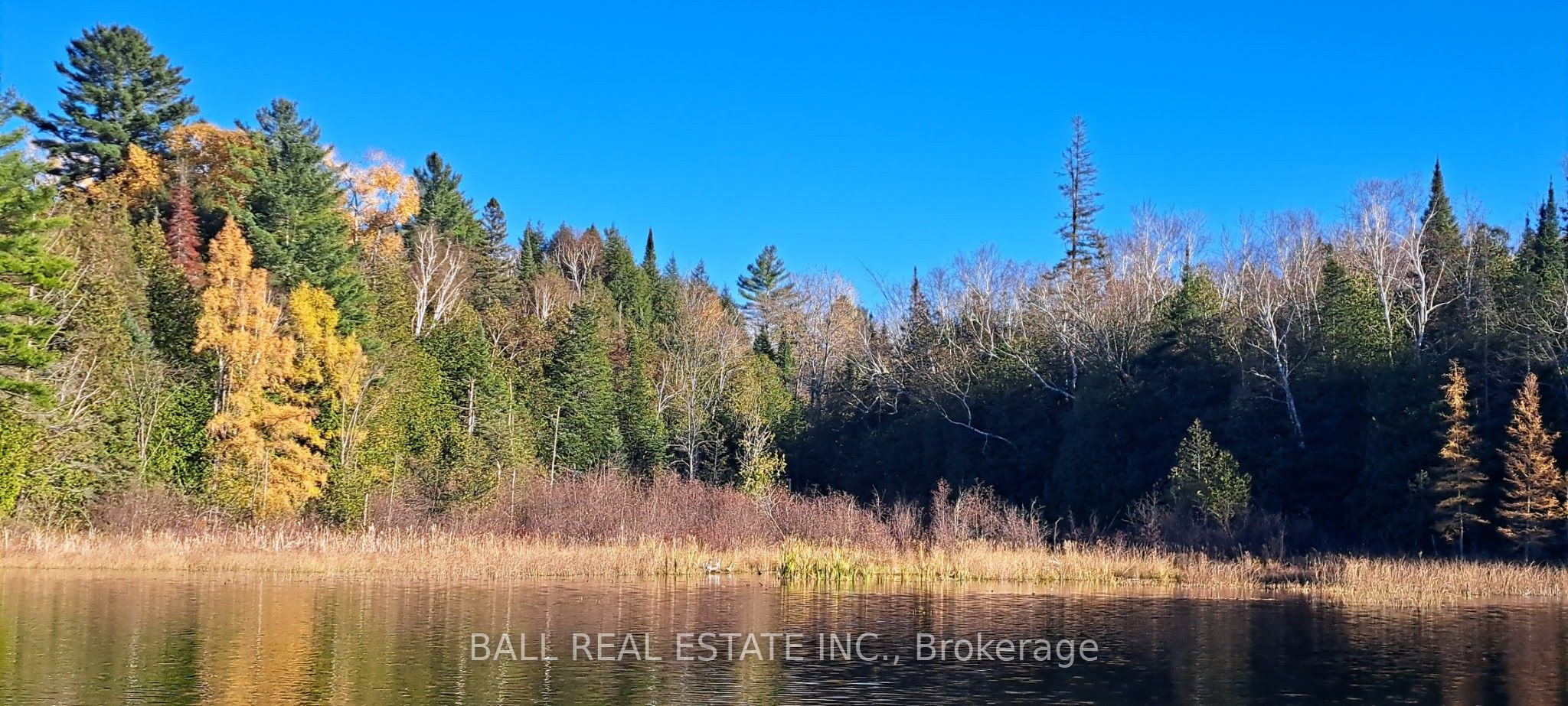 1992 Smith Road, Frontenac, ON K0H 1C0 photo 2
