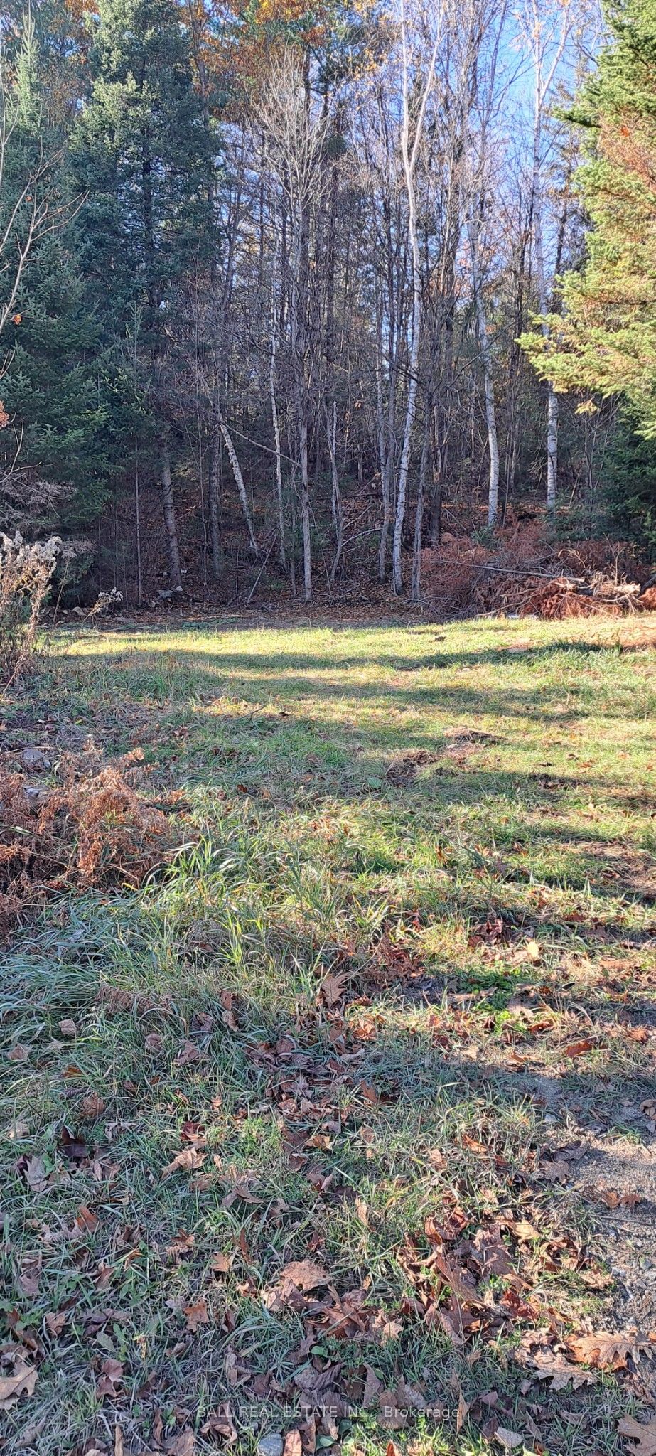 1992 Smith Road, Frontenac, ON K0H 1C0 photo 3