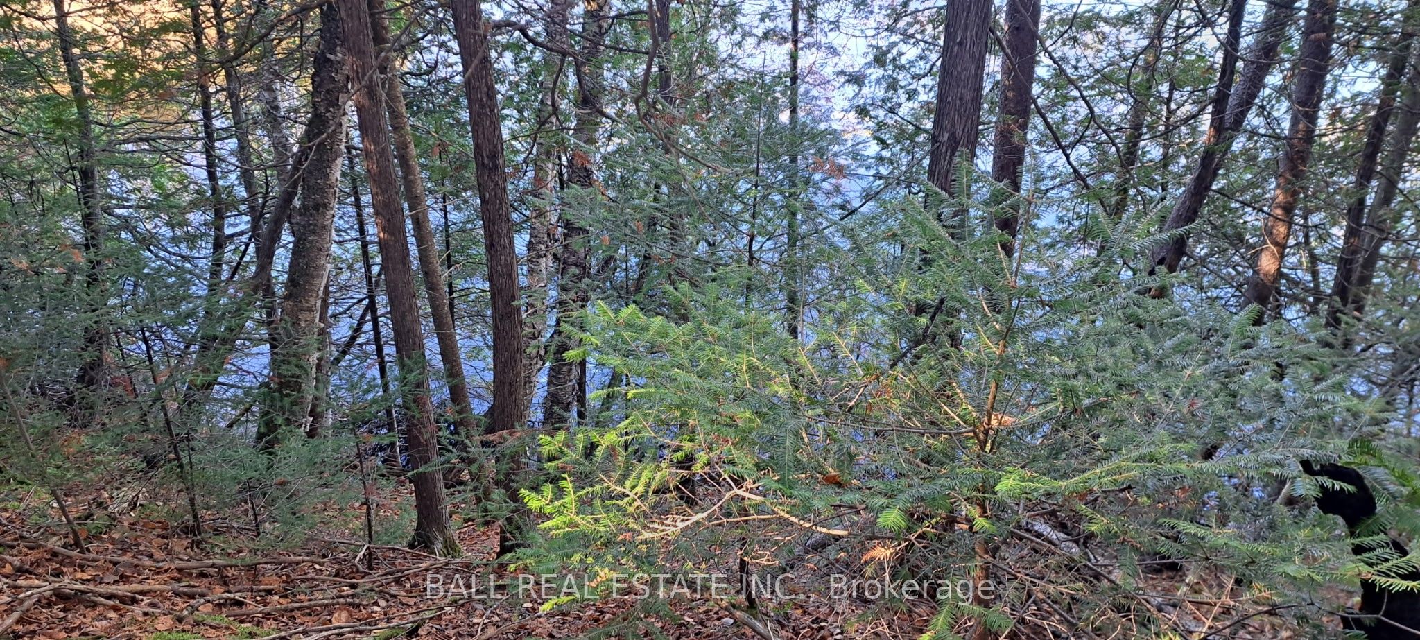 1992 Smith Road, Frontenac, ON K0H 1C0 photo 5