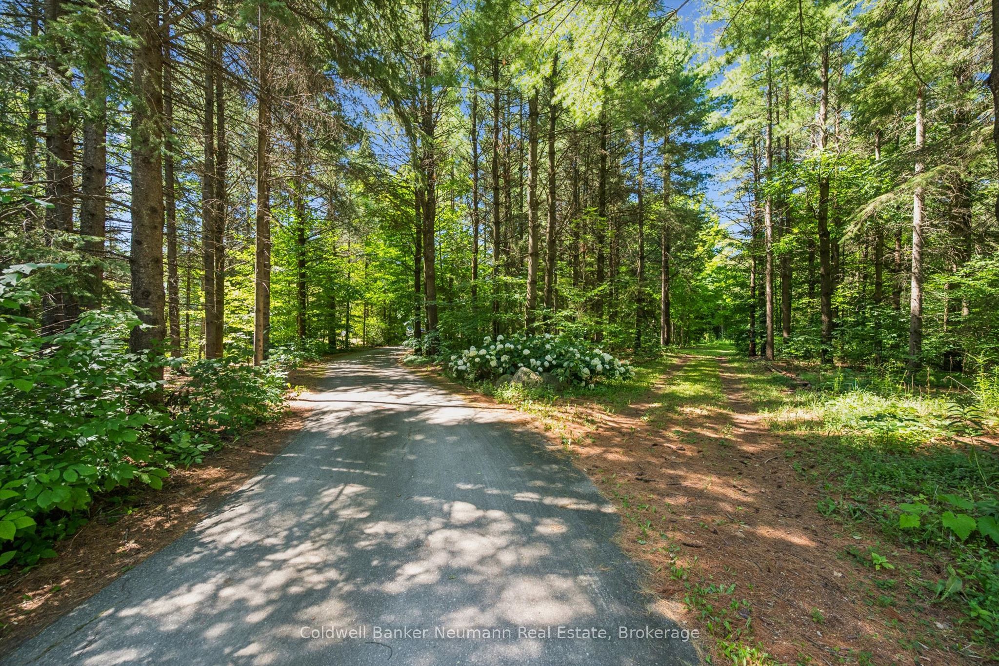 4676 Concession 11 Road, Puslinch, ON N0B 2J0 photo 5