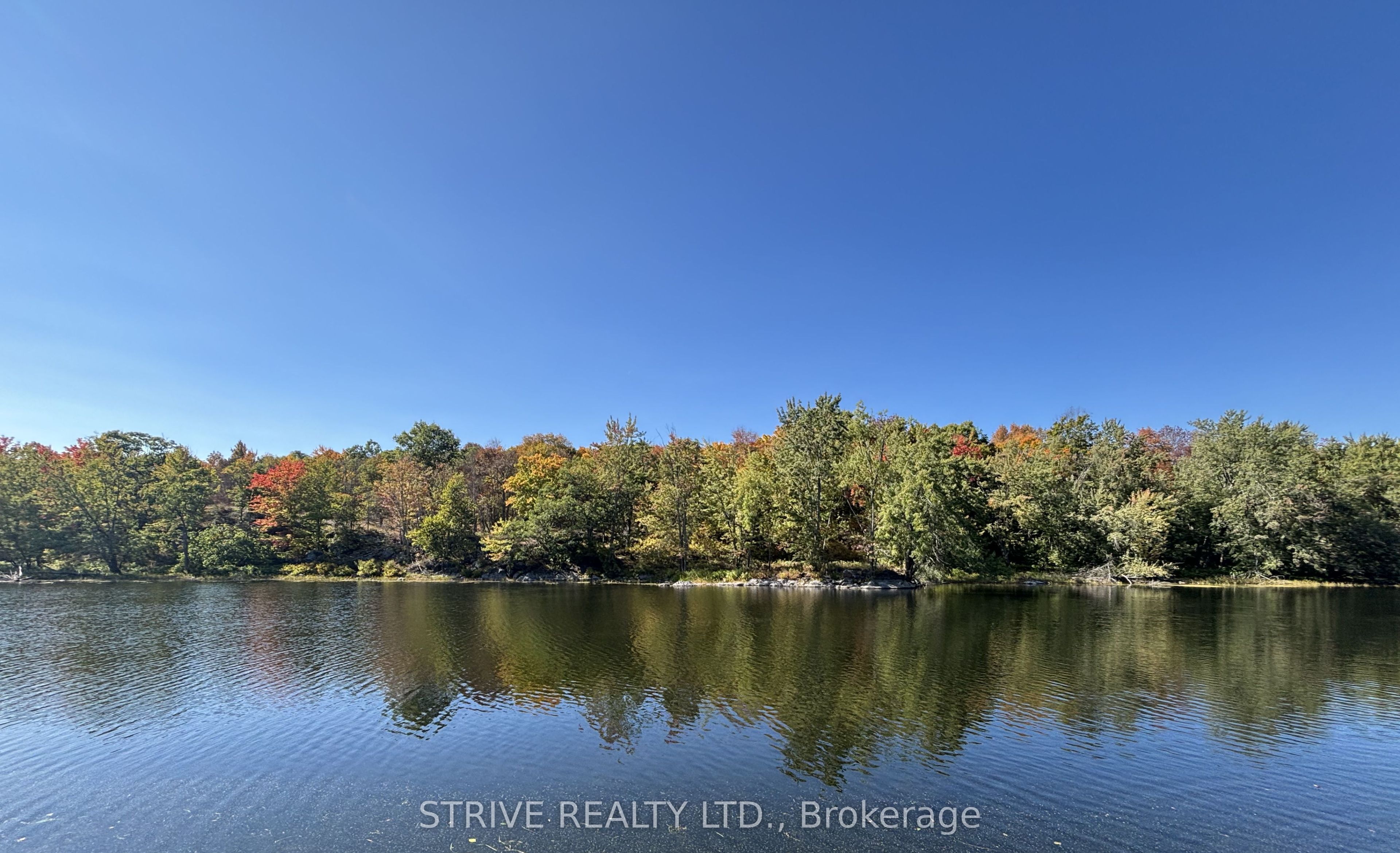 206I Kehoe Lane, Tweed, ON K0K 3J0 photo 2