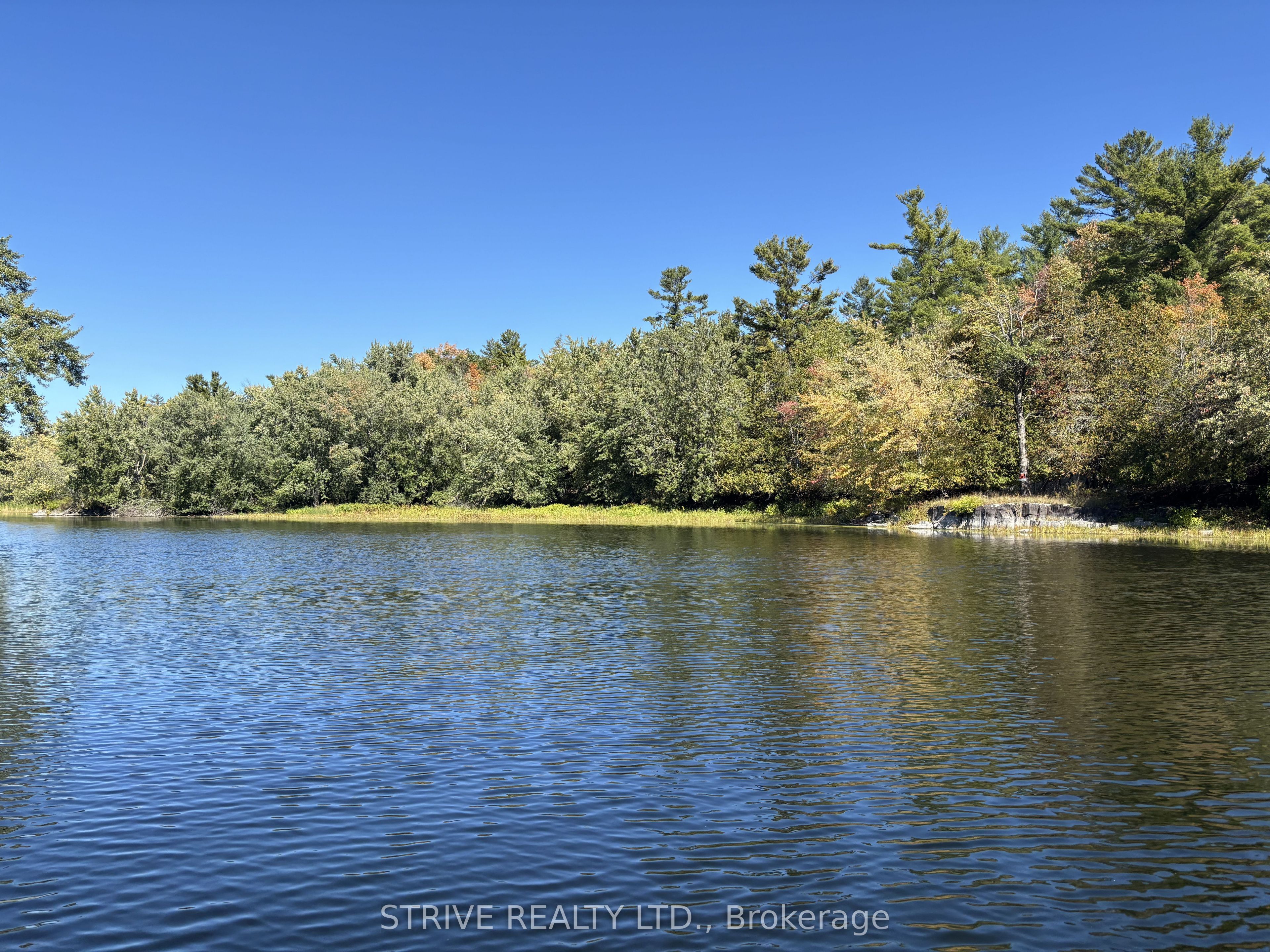 206I Kehoe Lane, Tweed, ON K0K 3J0 photo 4