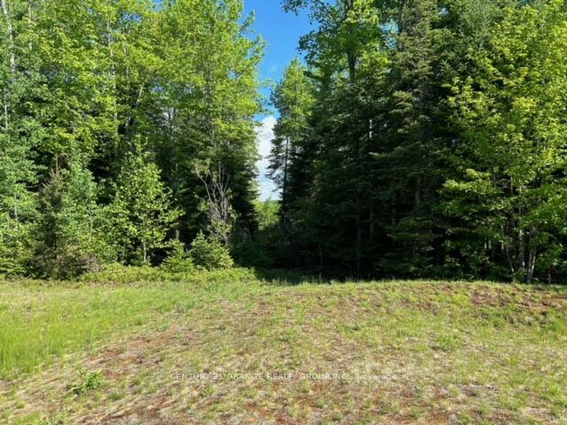 Lot 27 Bancroft Ridge Drive, Bancroft, ON K0L 1C0 photo 3