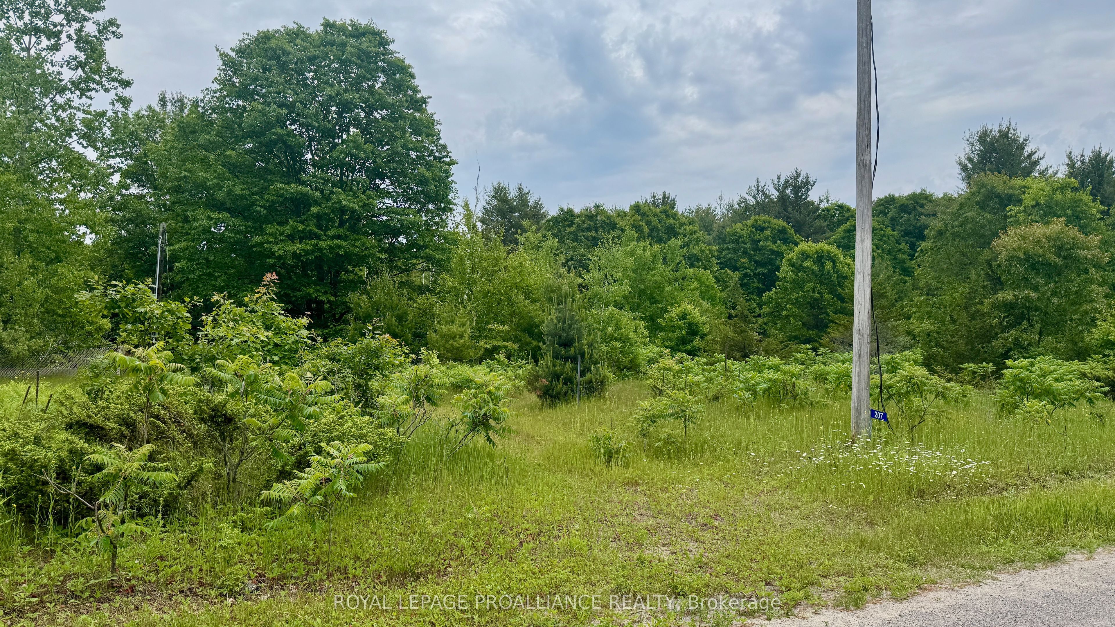 207 Middle Ridge Road, Brighton, ON K0K 1H0 photo 5