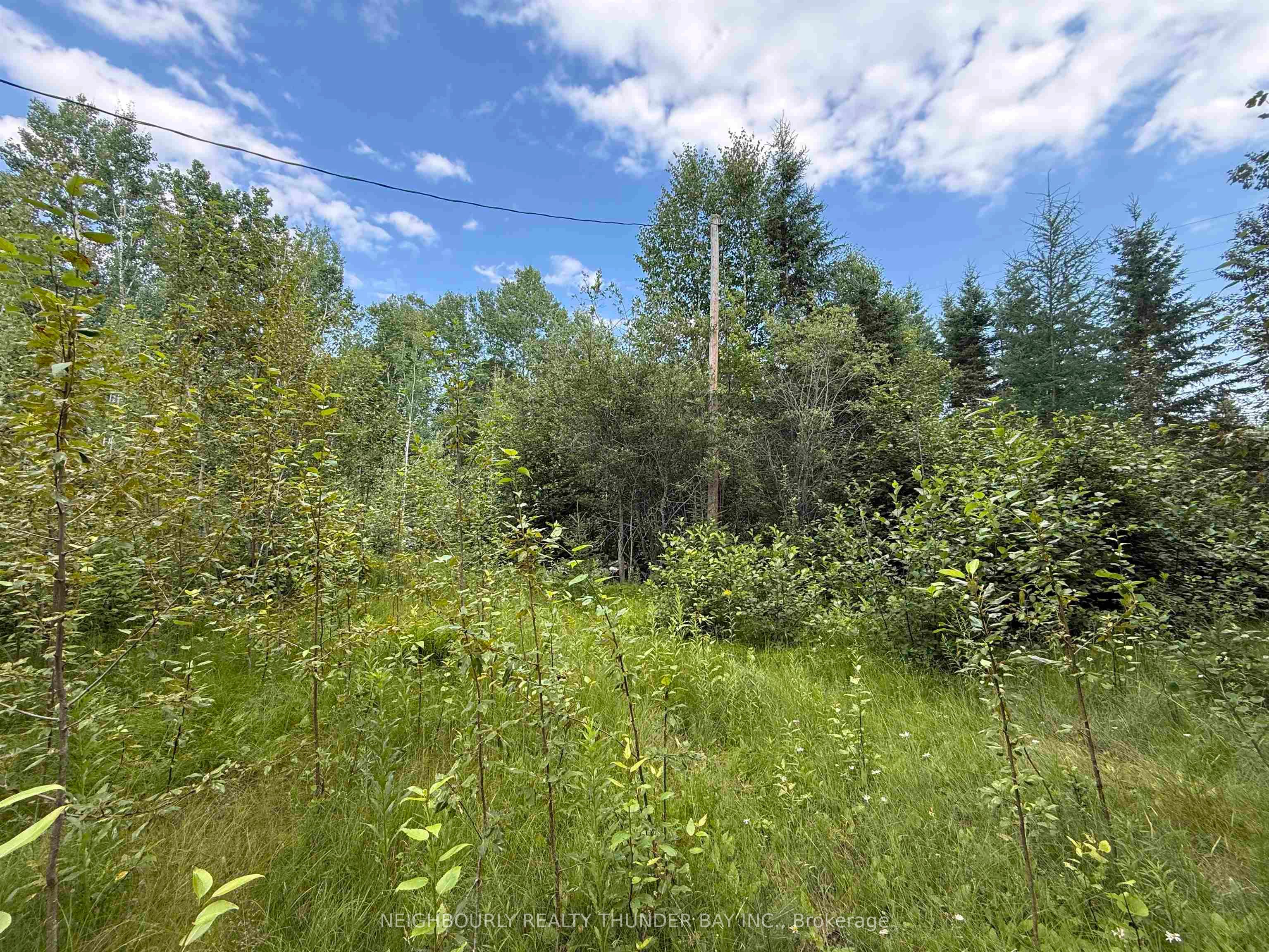 2520 Lakeshore Drive, Shuniah, ON P7A 0M1 photo 5