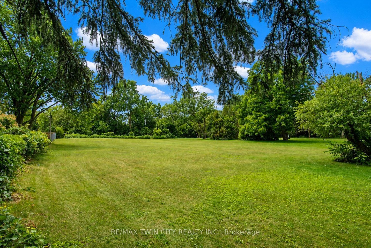 124 Carwood Avenue, Kitchener, ON N2G 3B9 photo 4