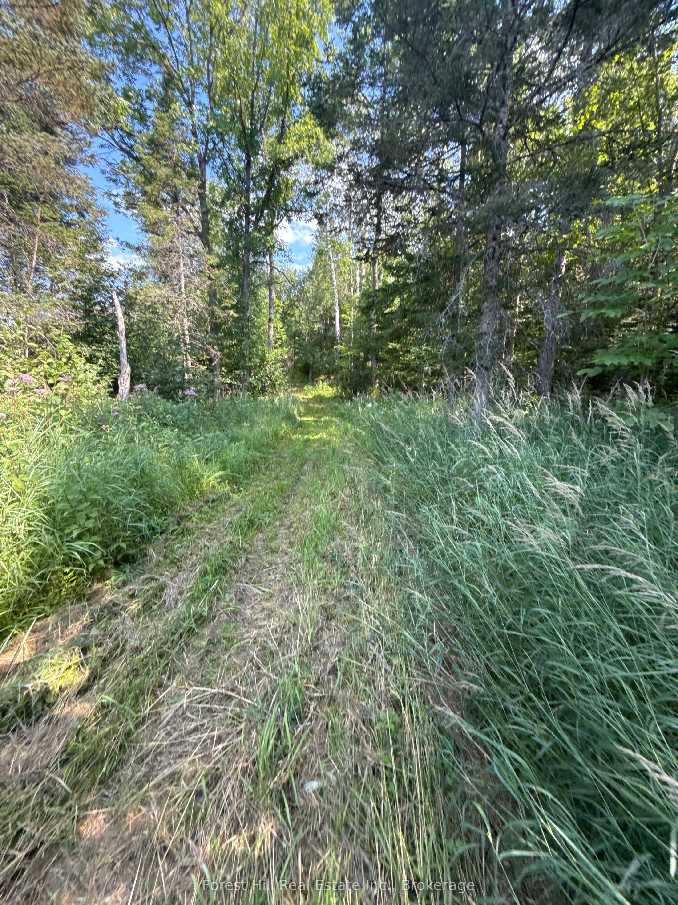 832 East Road, Parry Sound Remote Area, ON P0H 1S0 photo 4