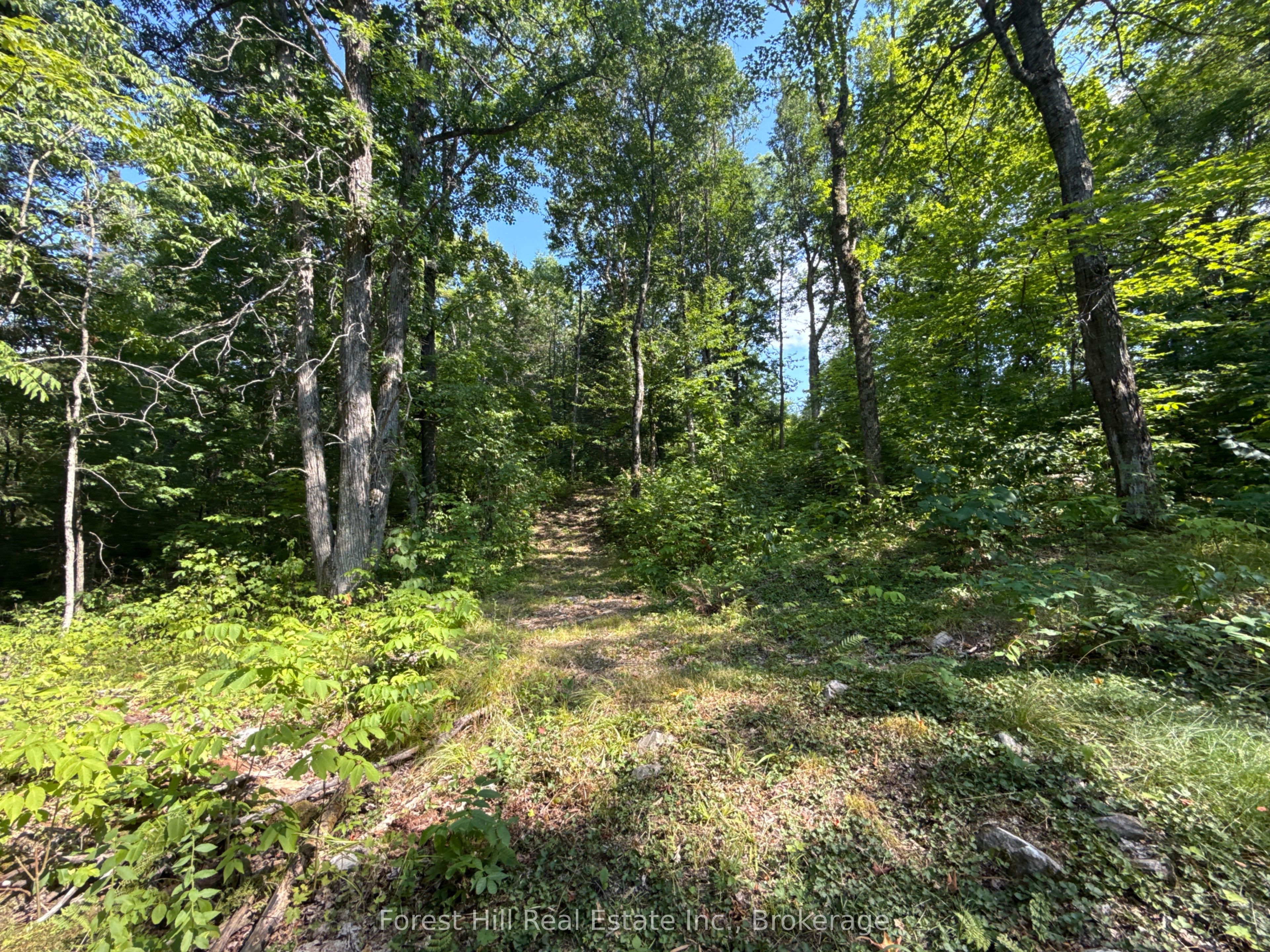 832 East Road, Parry Sound Remote Area, ON P0H 1S0 photo 5