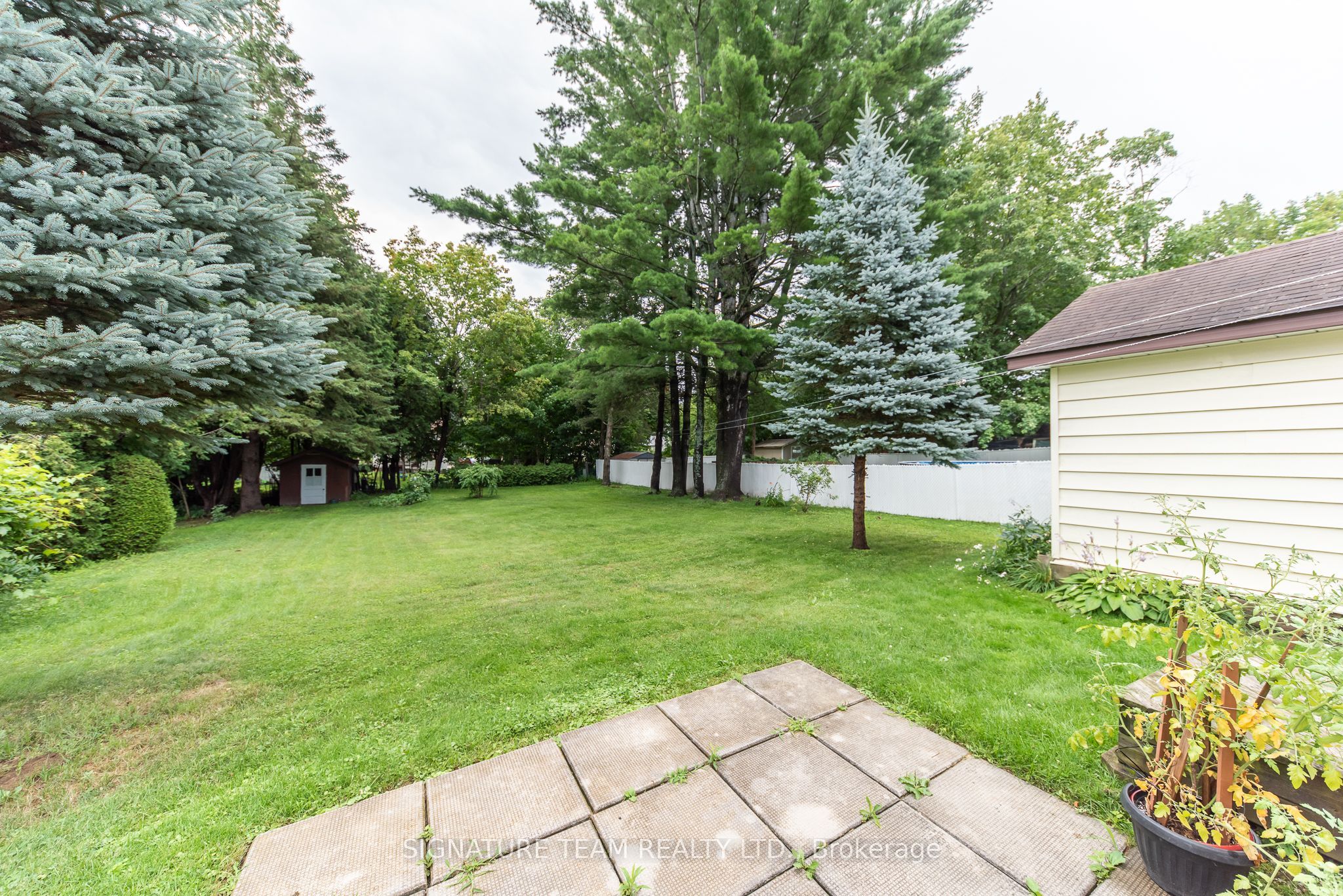 259 Peter Street, Pembroke, ON K8A 1R1 photo 5