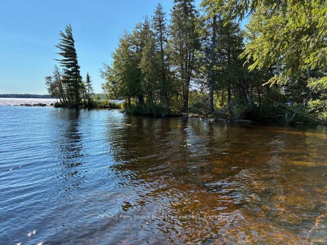 5993 HIGHWAY #124 Highway, Magnetawan, ON P0A 1A0 photo 3