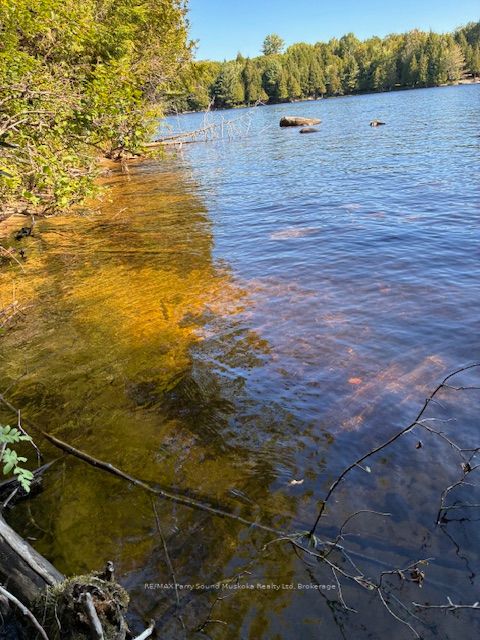 5993 HIGHWAY #124 Highway, Magnetawan, ON P0A 1A0 photo 5