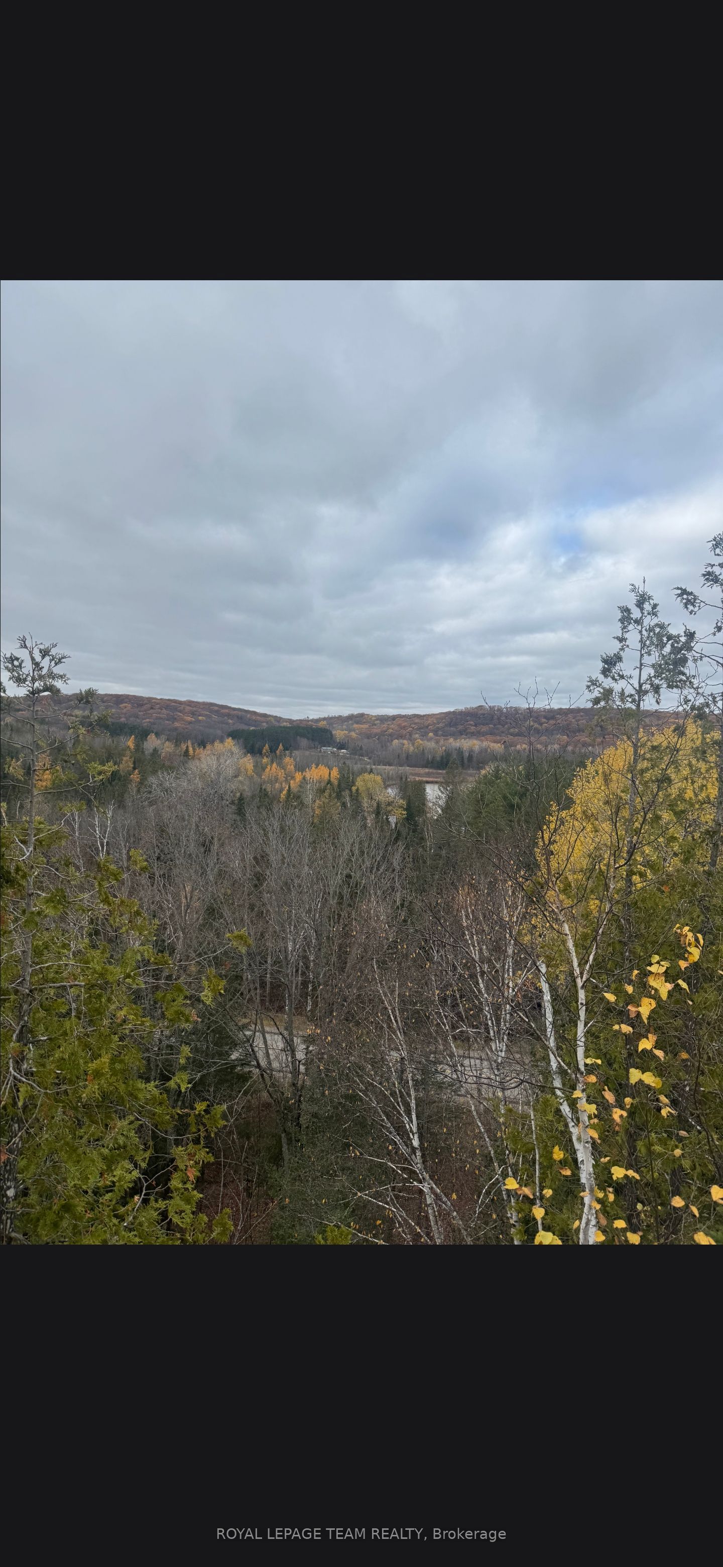 509 S Road Road, Frontenac, ON K0H 1J0 photo 3
