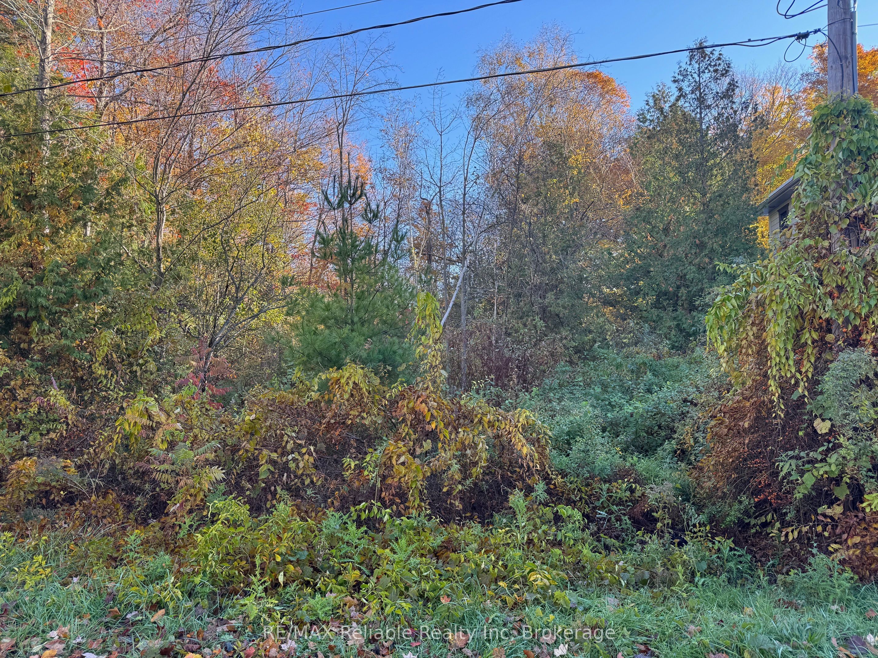 28 George Street, Bluewater, ON N0M 1G0 photo 4