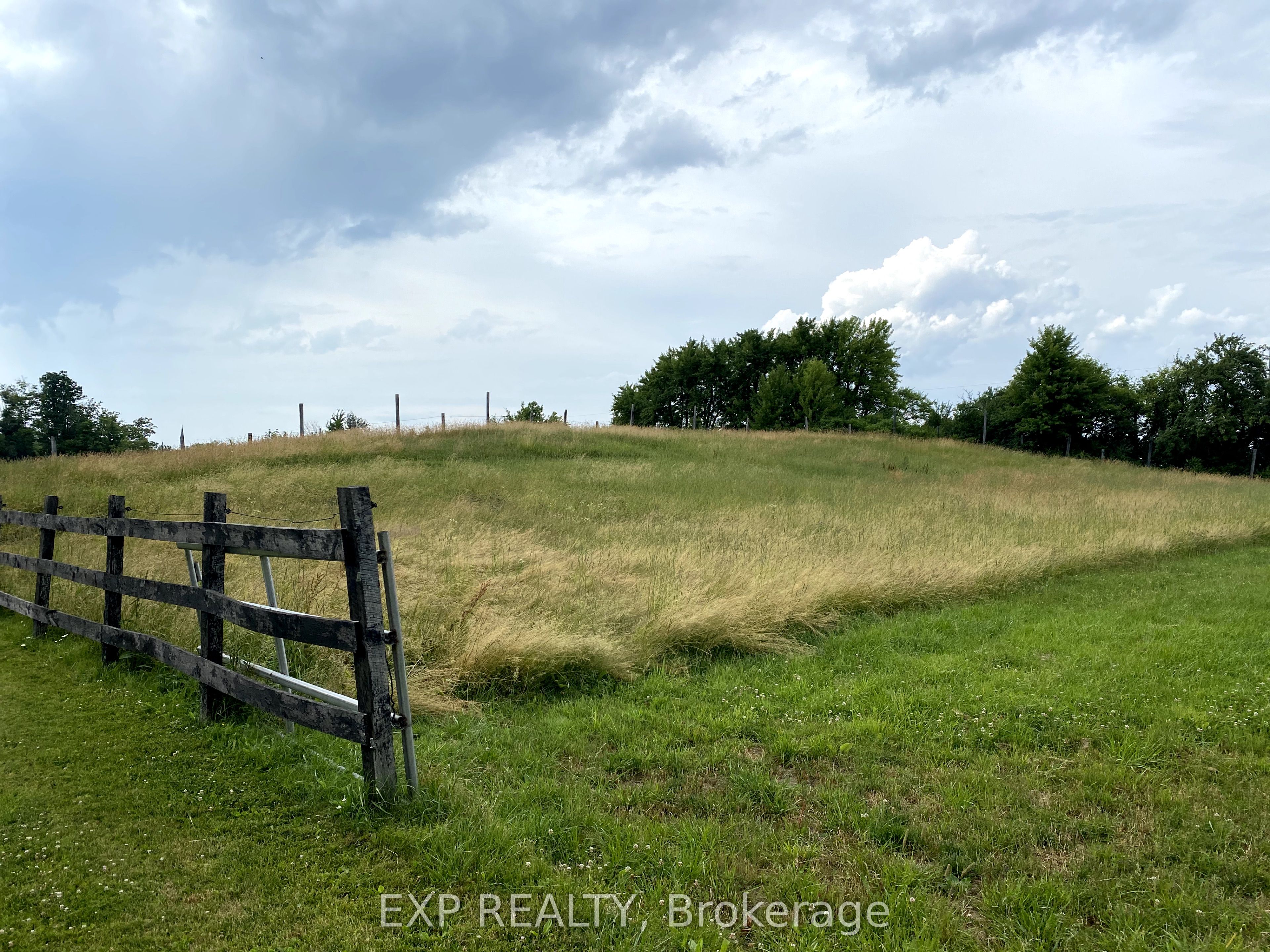 1175 Haldibrook Road S, Haldimand, ON N3W 1N5 photo 5