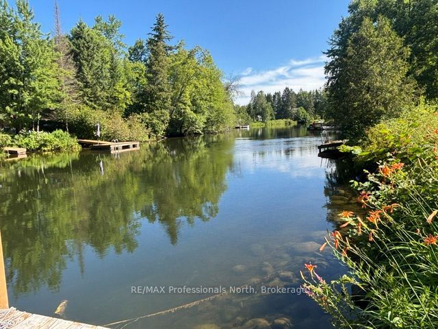 1436 Spring Valley Road, Minden Hills, ON K0M 2K0 photo 4