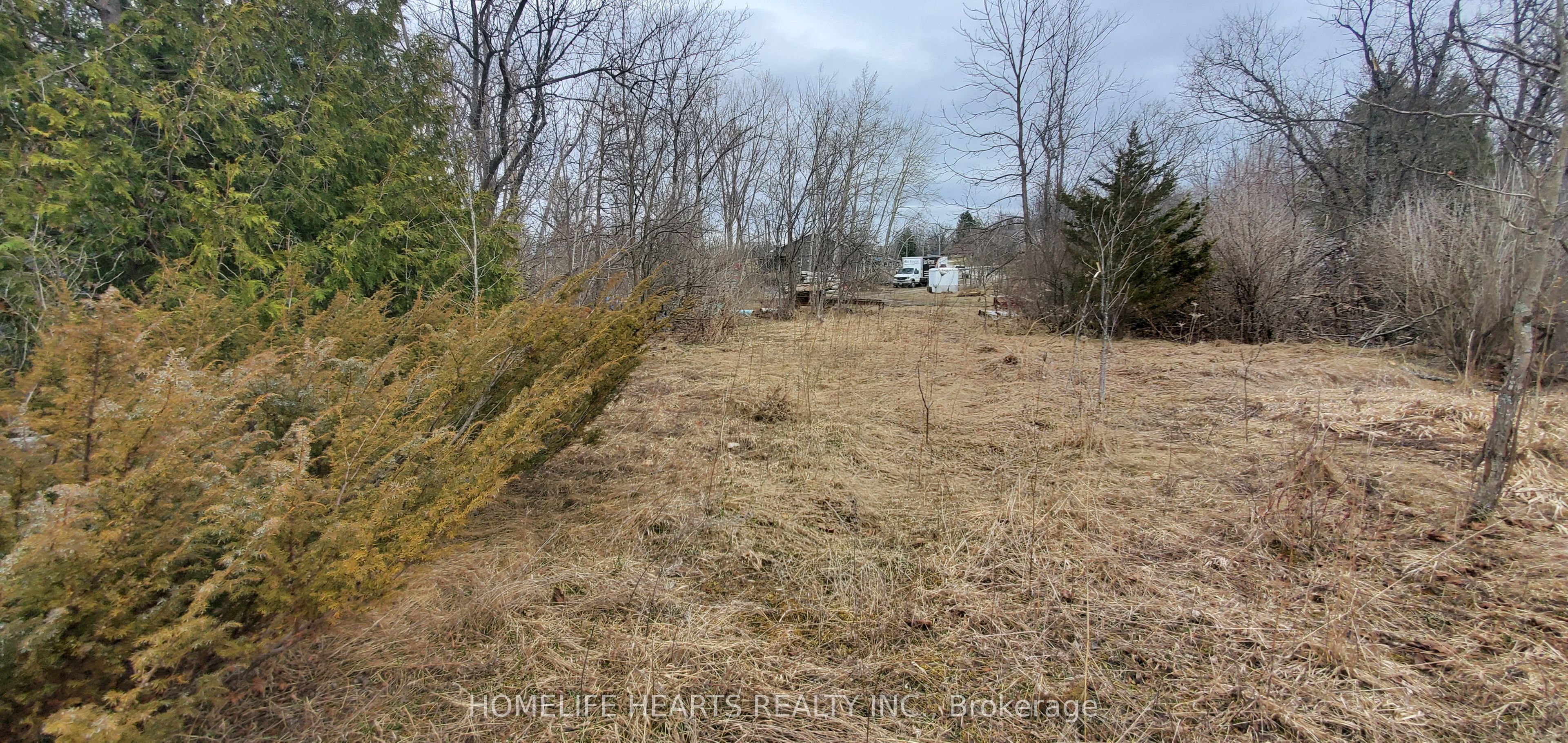 25 Gream Street, Centre Hastings, ON K0K 2K0 photo 4
