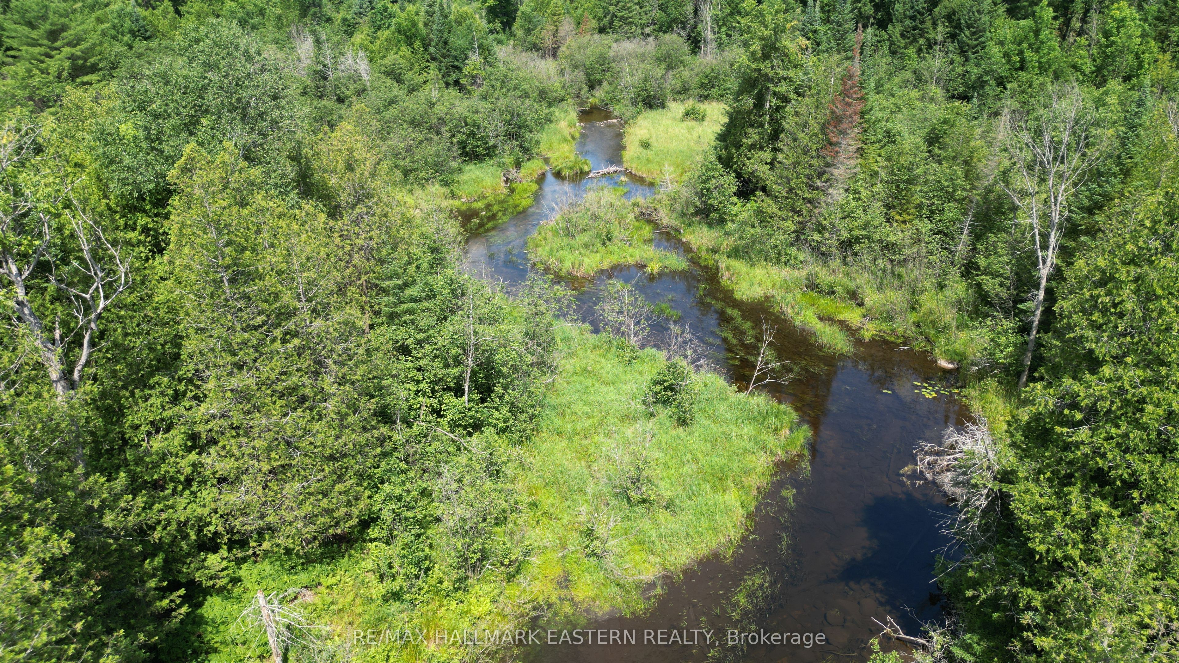 N/A Keating Road N, Havelock-Belmont-Methuen, ON K0L 1Z0 photo 3