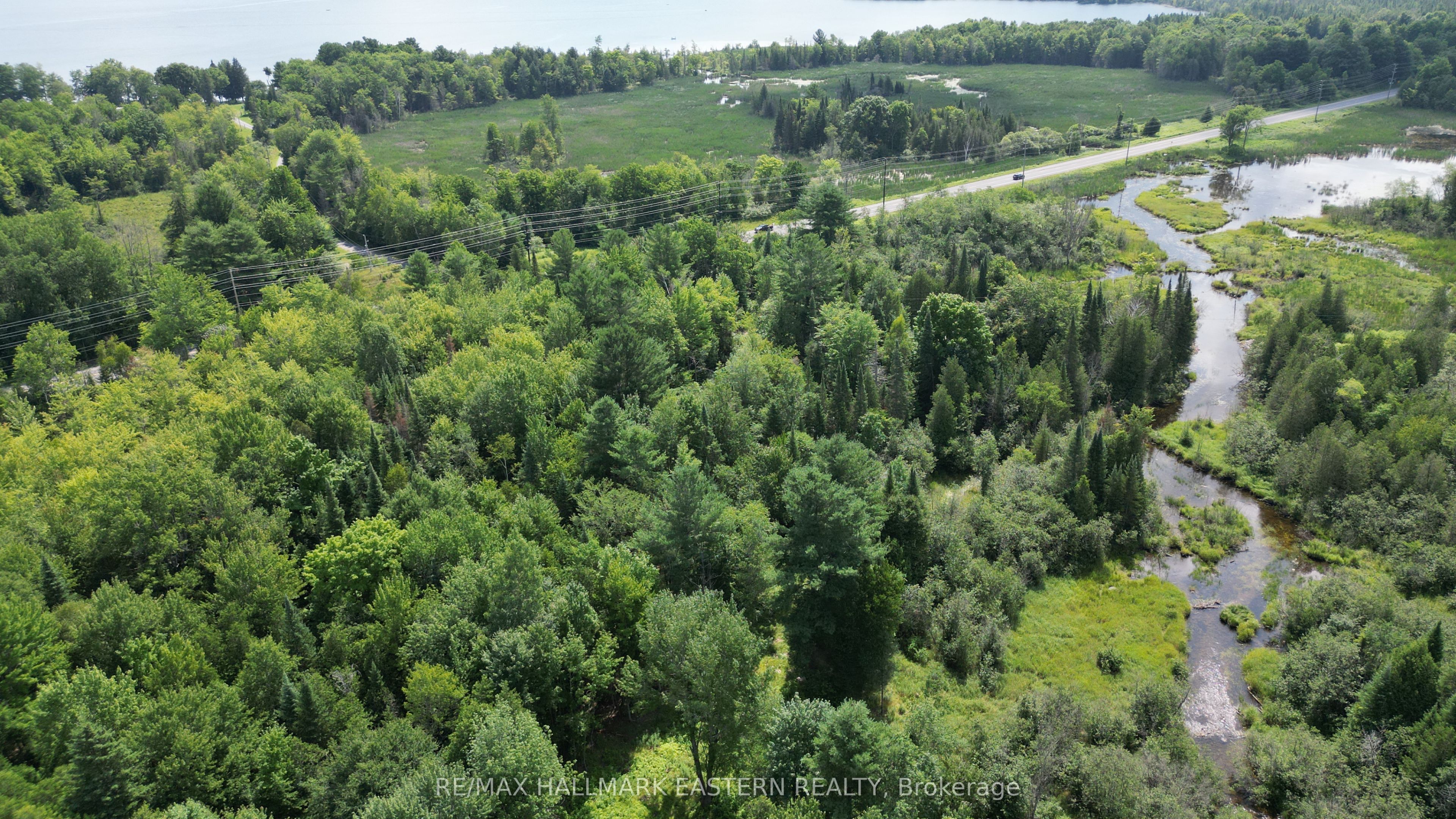 N/A Keating Road N, Havelock-Belmont-Methuen, ON K0L 1Z0 photo 4