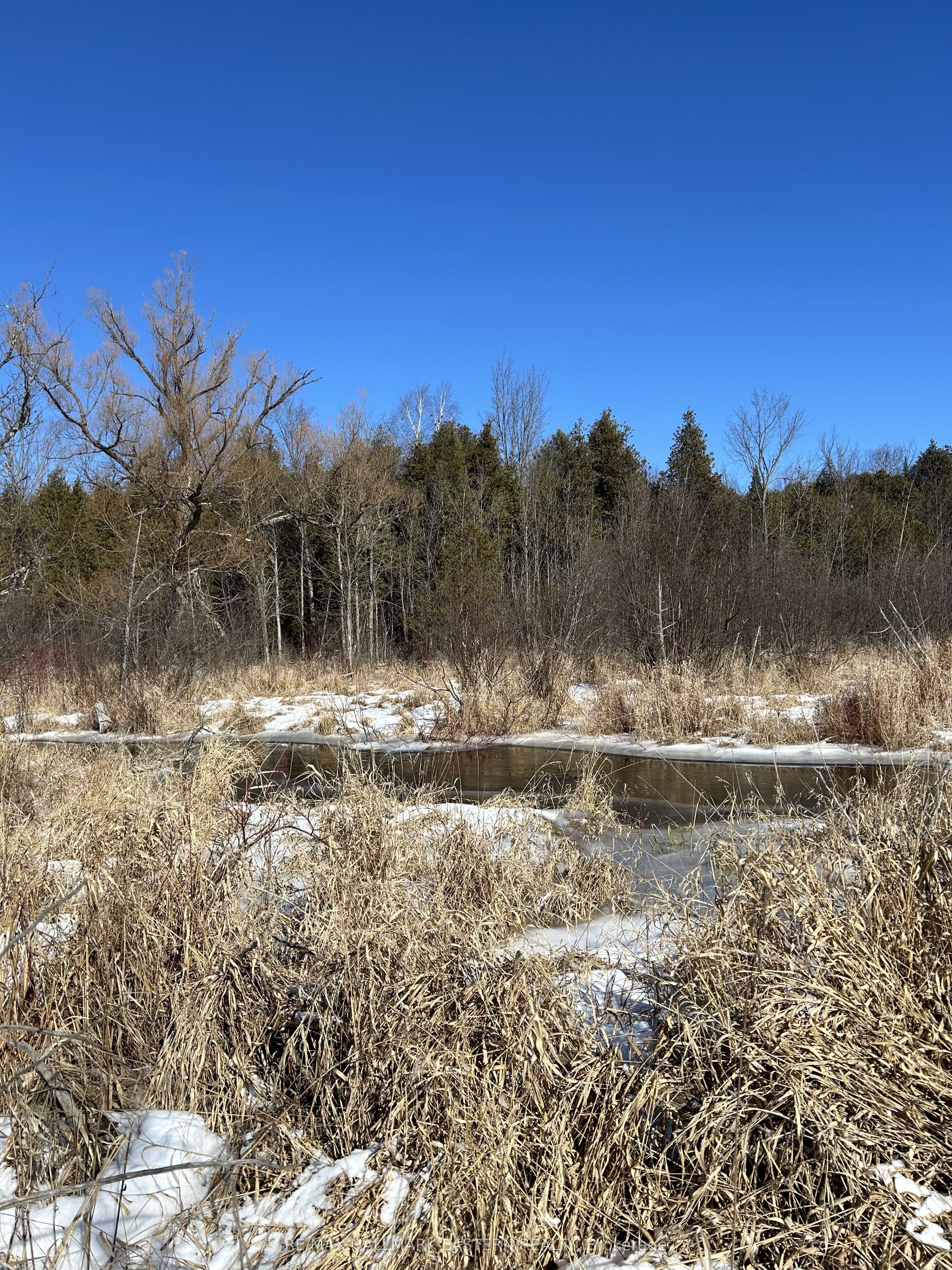 N/A Keating Road N, Havelock-Belmont-Methuen, ON K0L 1Z0 photo 5