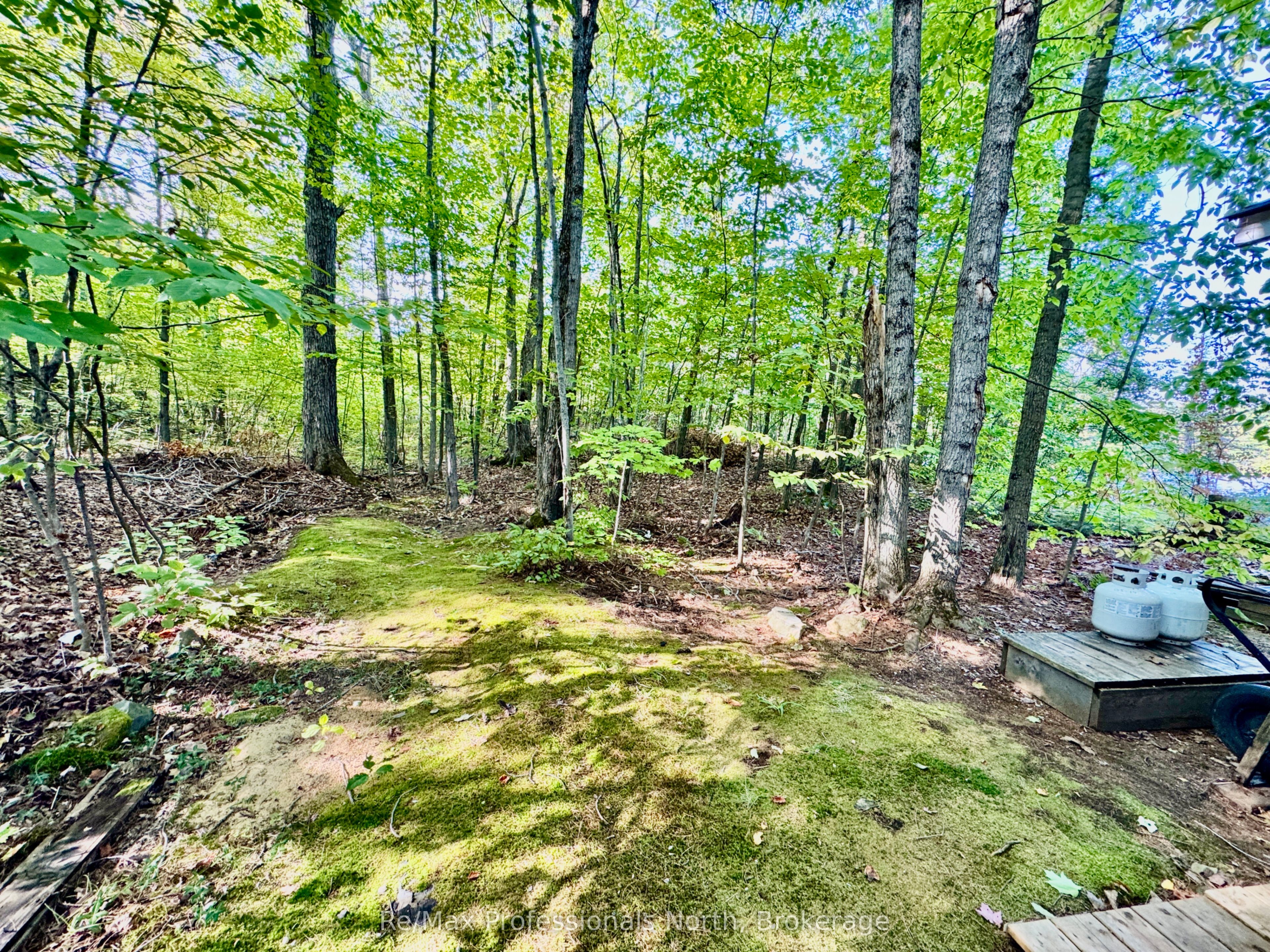 1007 Racoon Road 107, Gravenhurst, ON P1P 0C4 photo 4