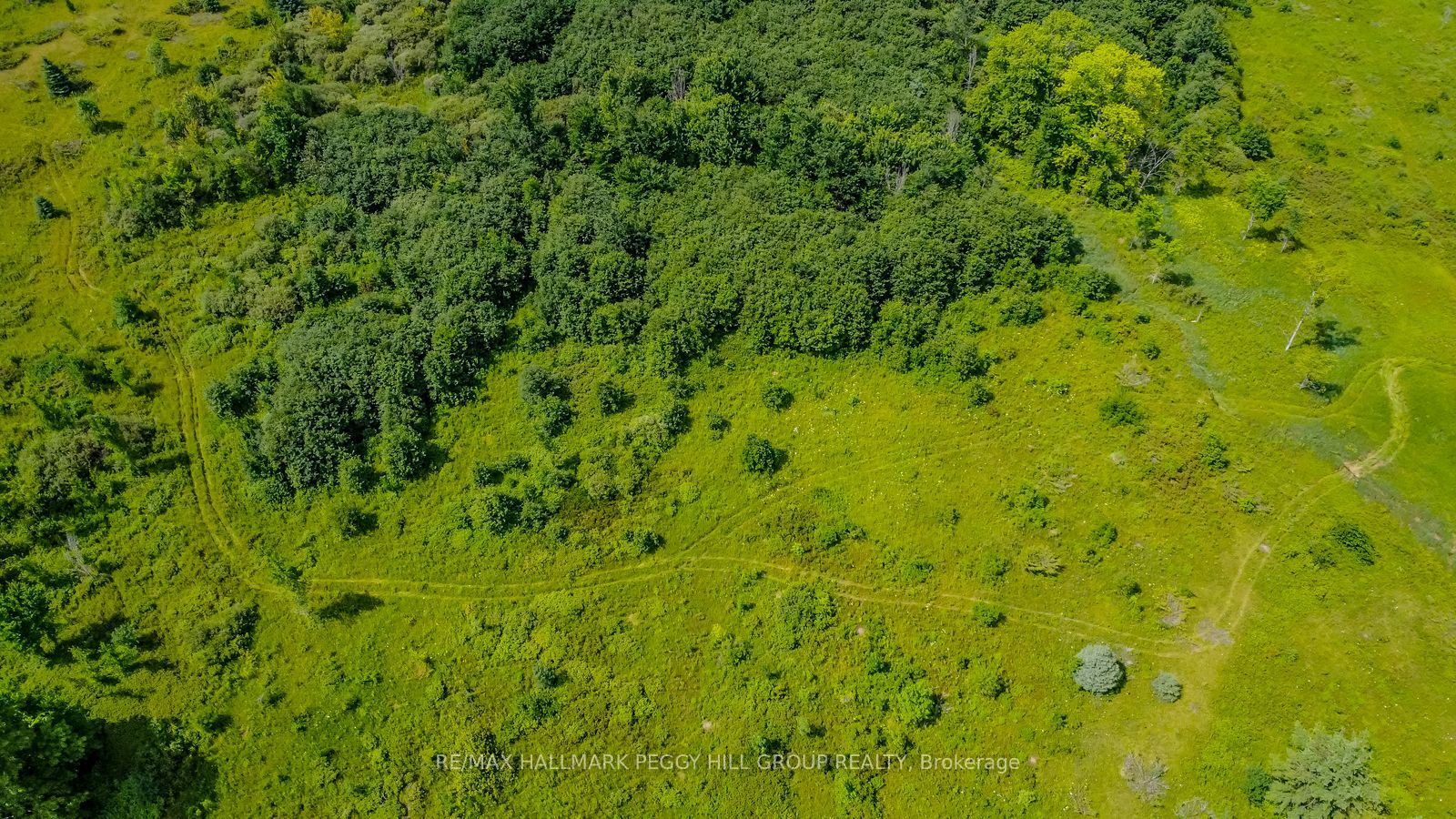 Lot 5 Concession 5, Kawartha Lakes, ON K0M 2B0 photo 3