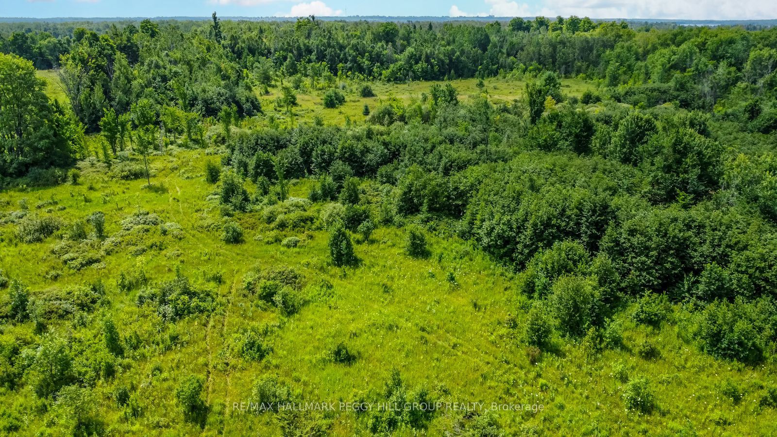 Lot 5 Concession 5, Kawartha Lakes, ON K0M 2B0 photo 4