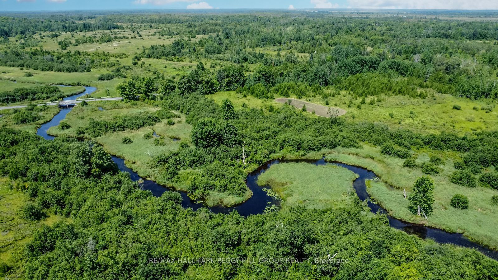 Lot 5 Concession 5, Kawartha Lakes, ON K0M 2B0 photo 5