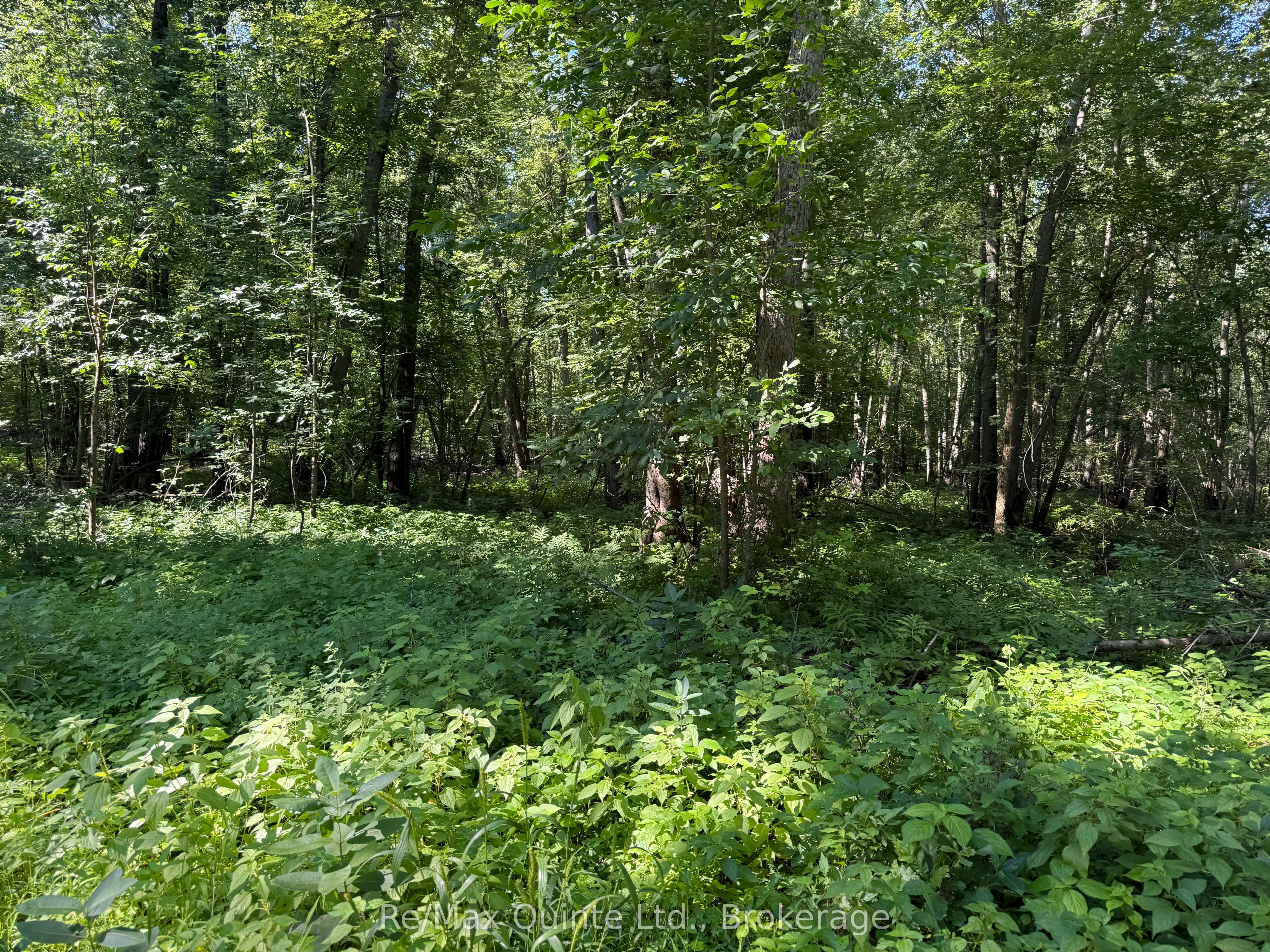 0 Trillium Lane, Tweed, ON K0K 3J0