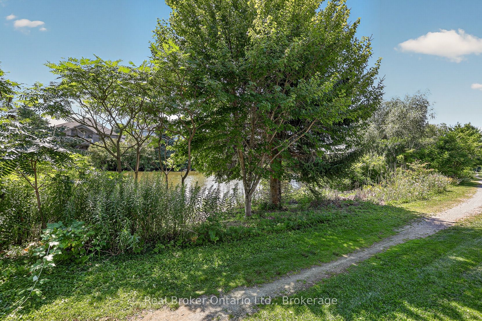 162 Kingfisher Avenue, Woodstock, ON N4T 1T6 photo 5