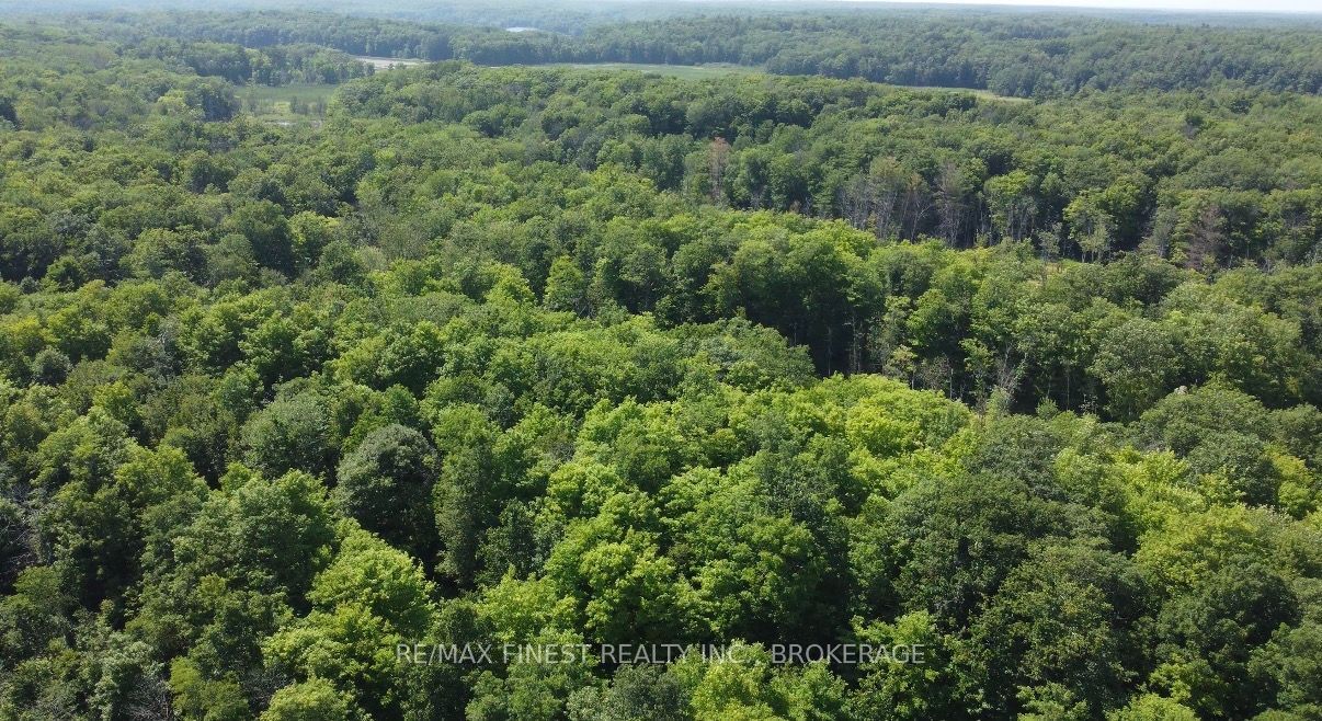 PT LT 13 Ritchie Road, Frontenac, ON K0H 2L0 photo 4