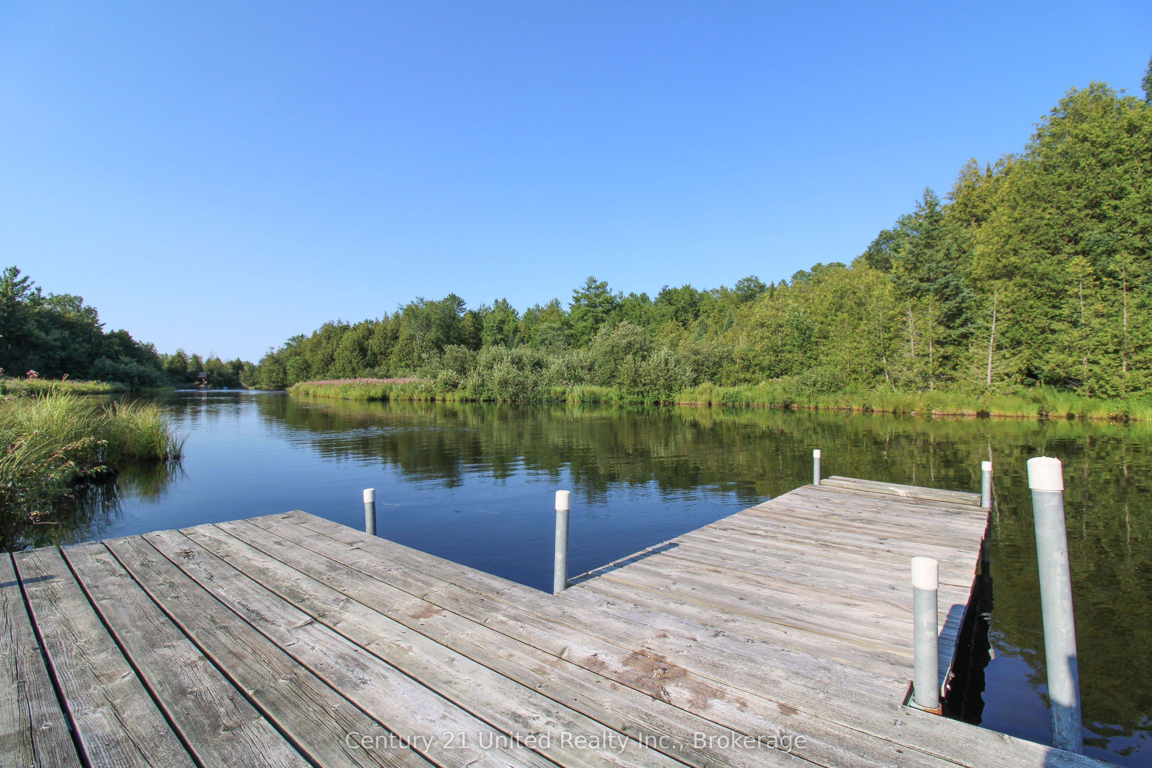 395 Sawmill Road, Douro-Dummer, ON K0L 2H0 photo 4