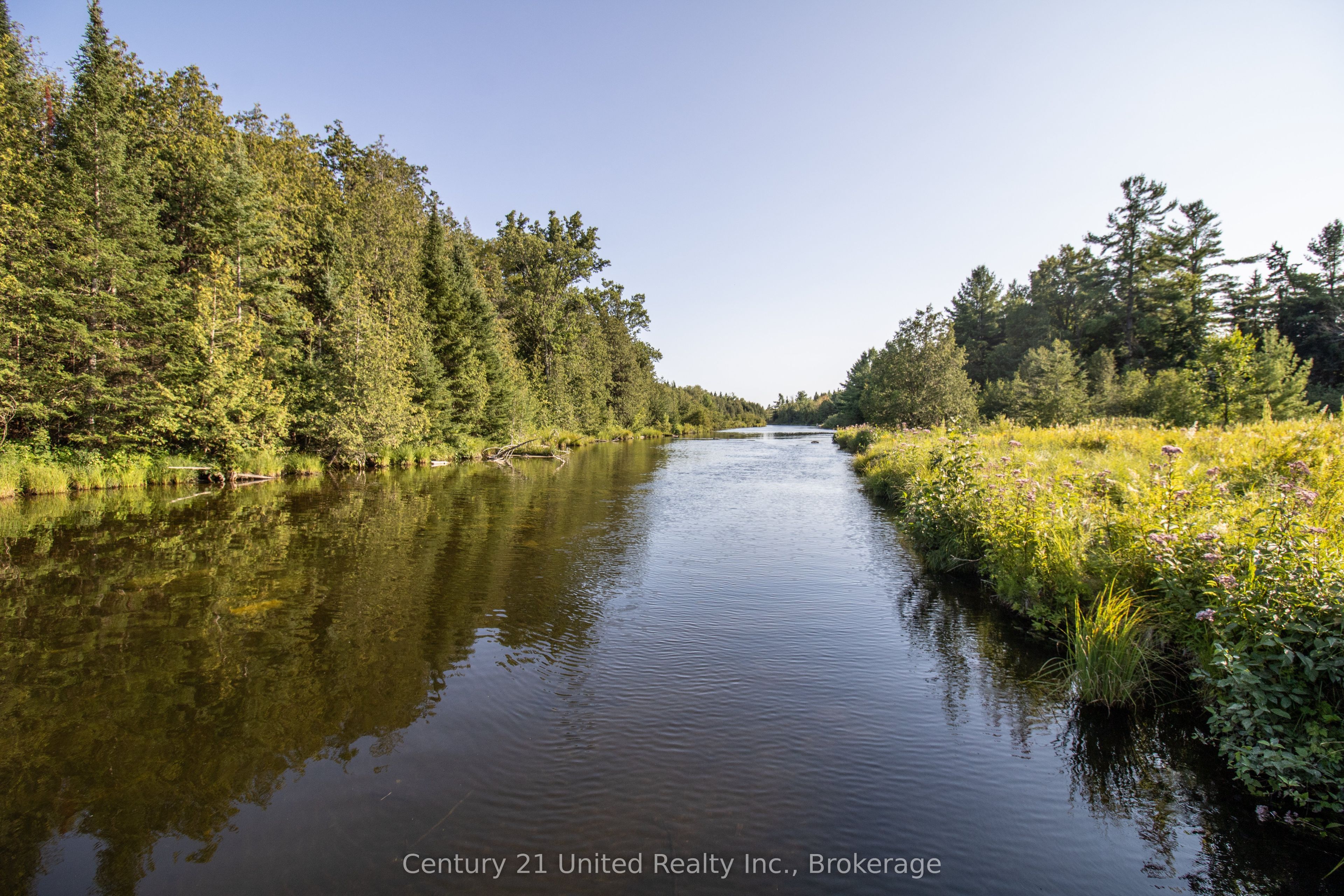 395 Sawmill Road, Douro-Dummer, ON K0L 2H0 photo 5