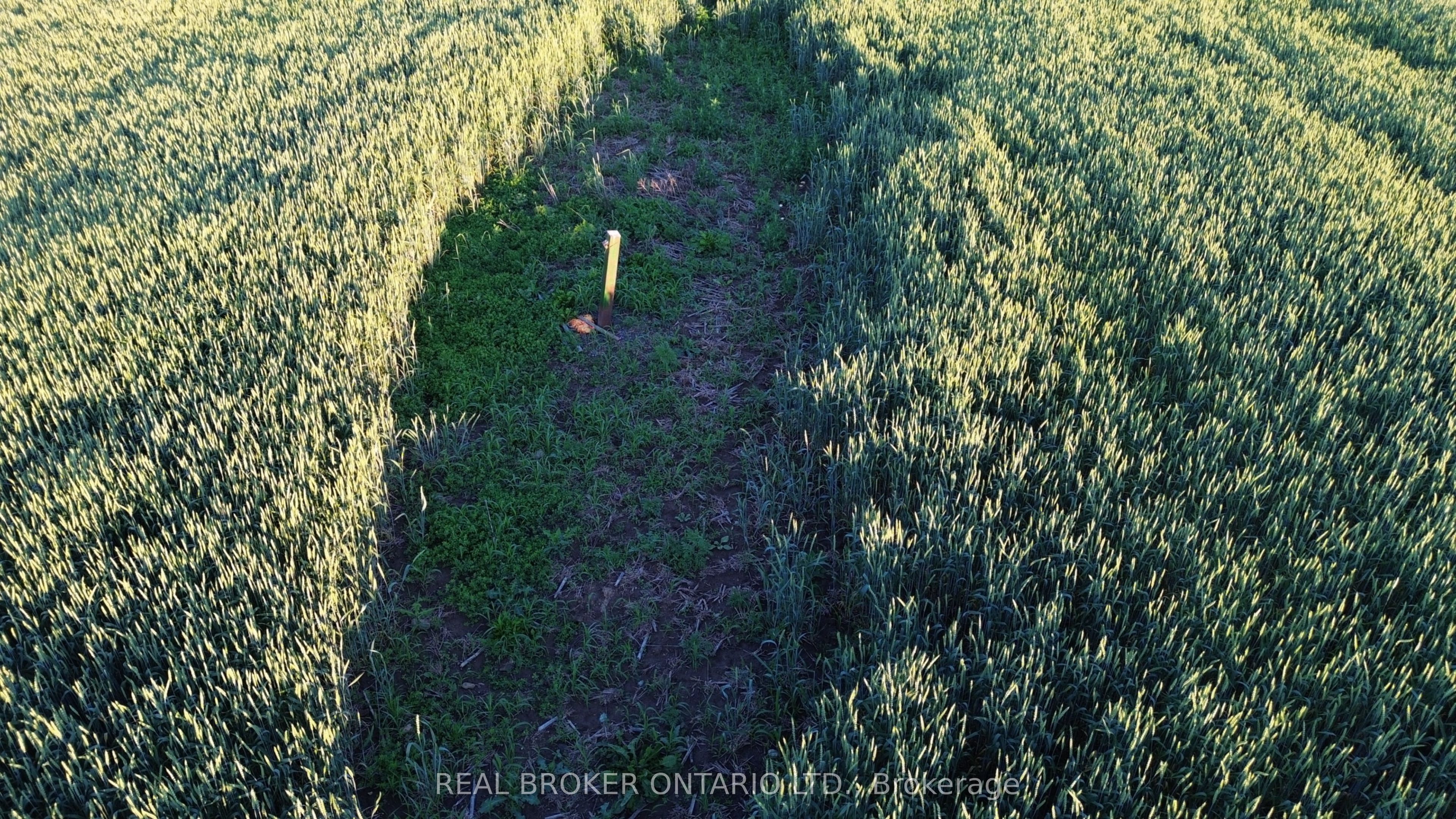 Lot 5 Rodney Lane, North Dundas, ON K0C 2K0 photo 4