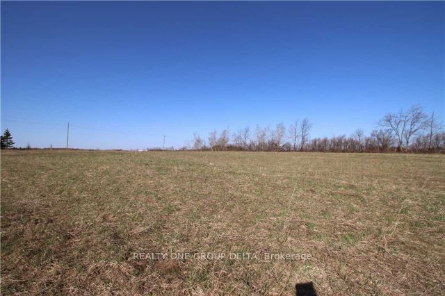 772789 Highway 10, Grey Highlands, ON N0B 1C0 photo 2