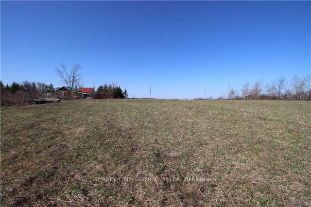 772789 Highway 10, Grey Highlands, ON N0B 1C0 photo 4